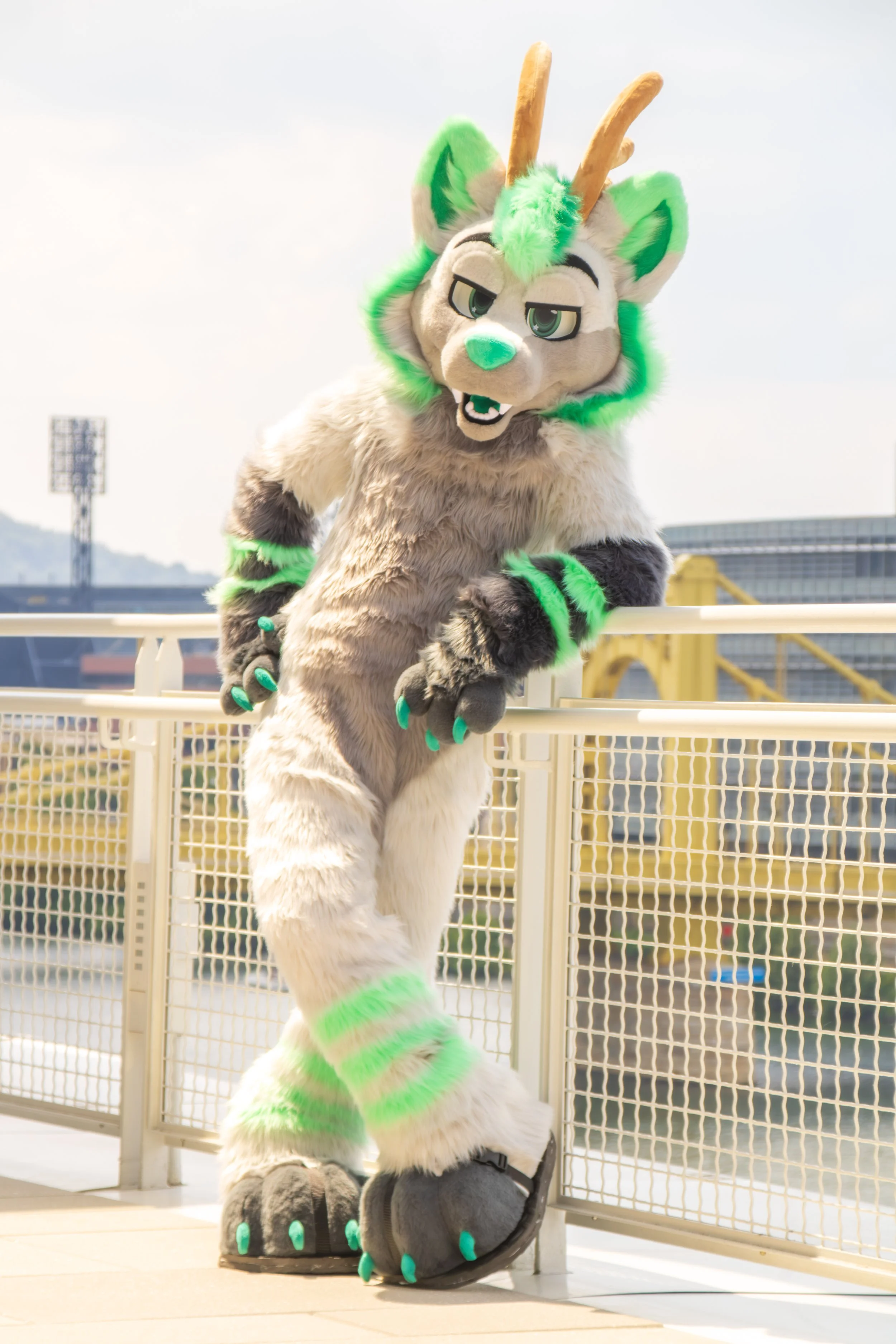 IMG_3342.jpg