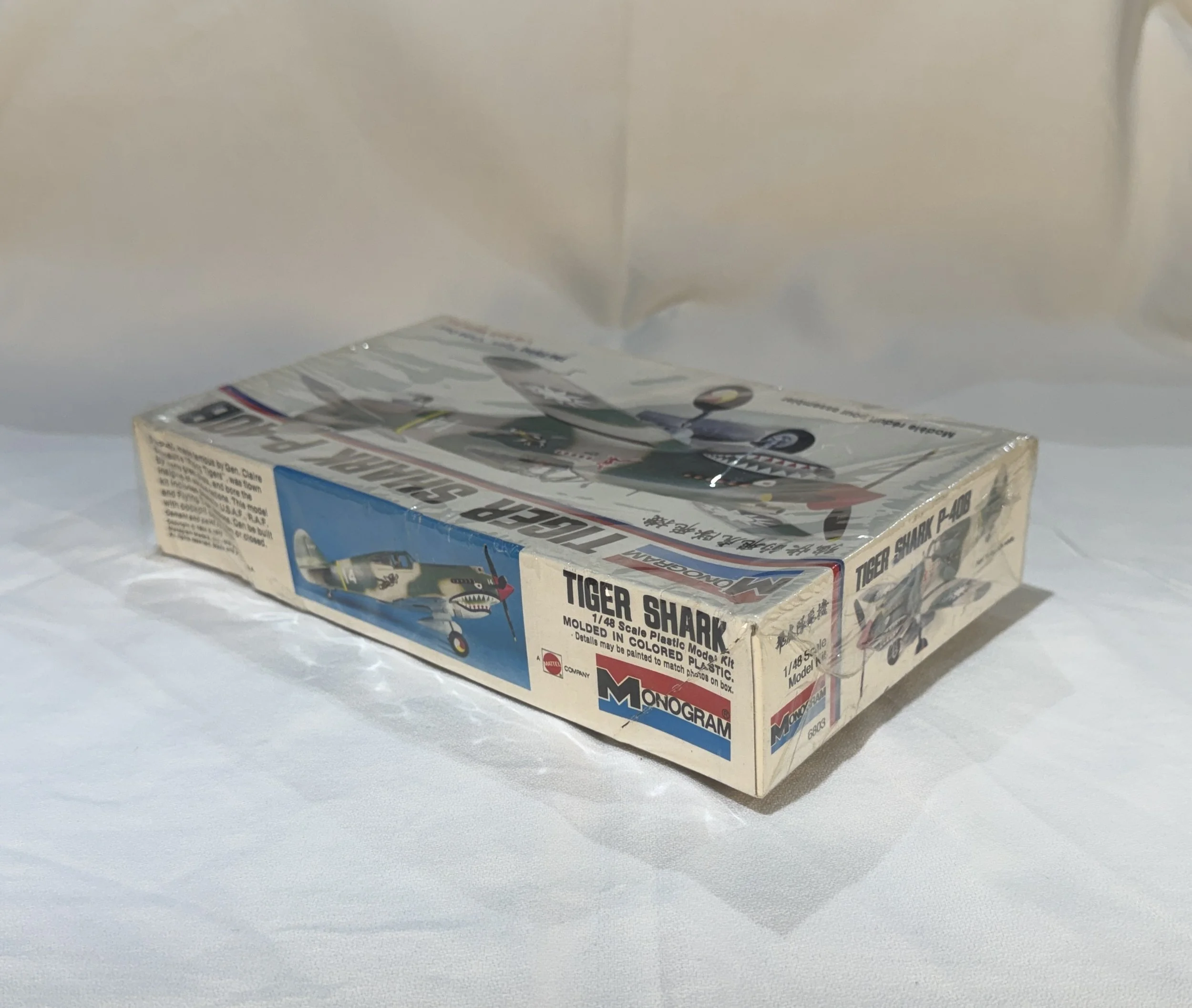P40Model2.JPG (Copy)