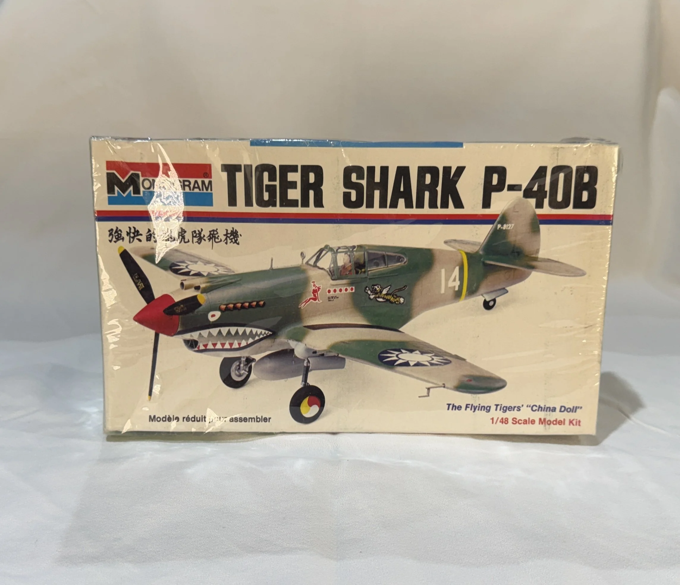 P40Model.JPG (Copy)