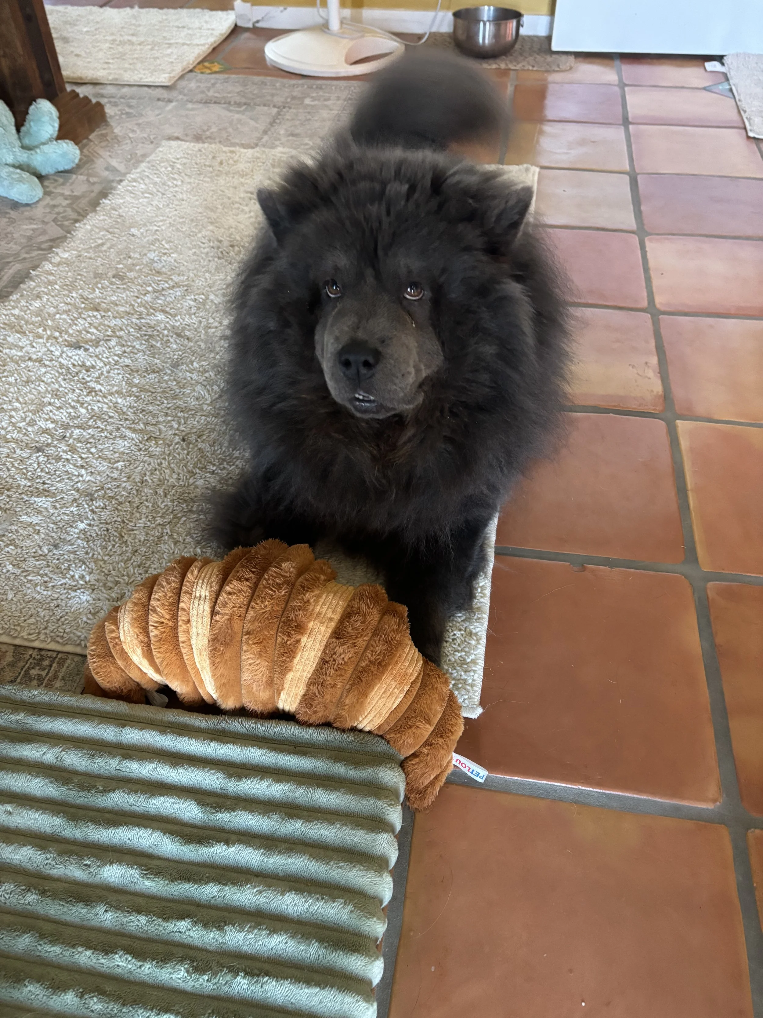 IMG_0690.jpeg