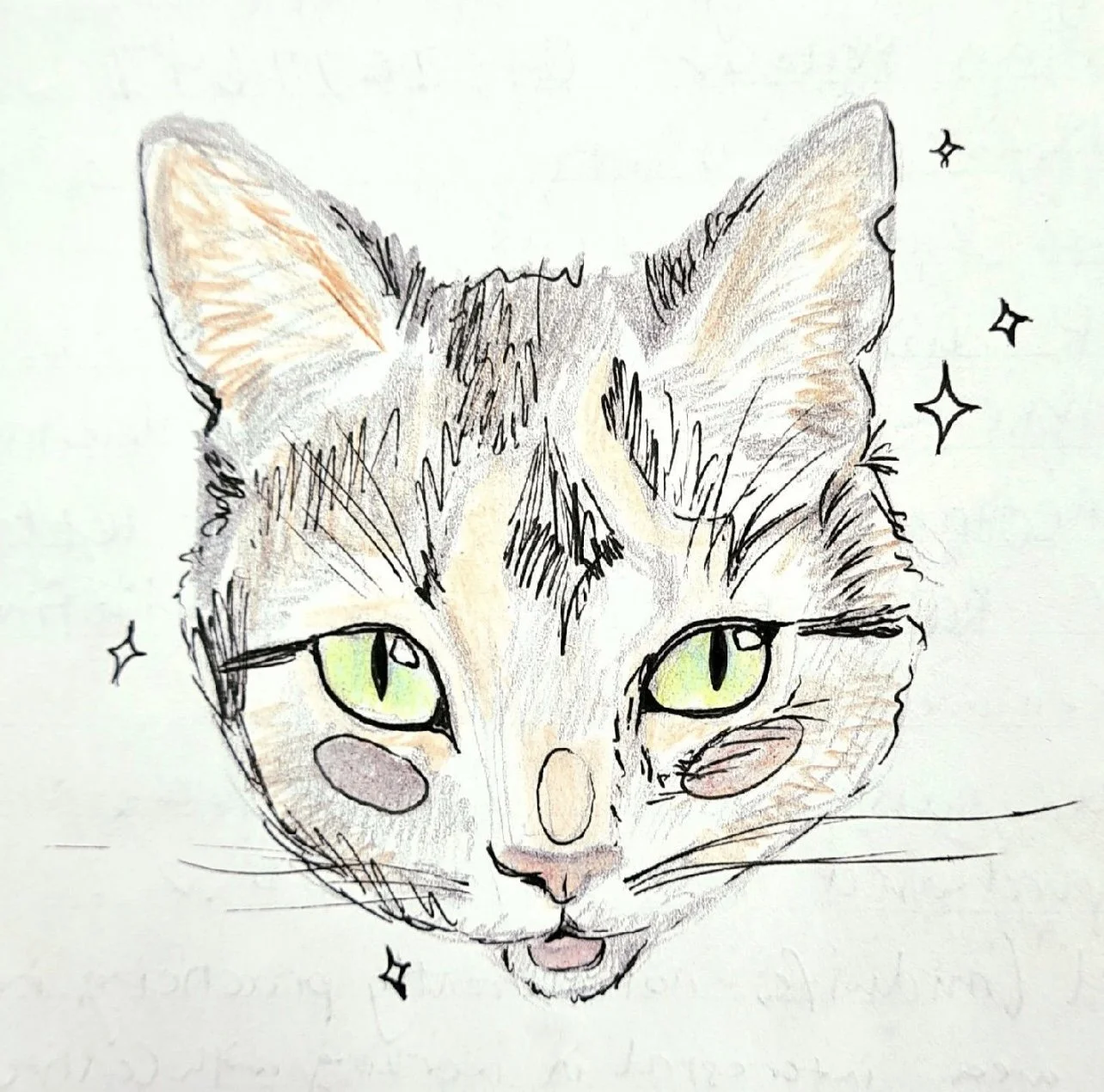 A hand-drawn illustration of a cat's face with green eyes, fluffy fur, and small stars around it.