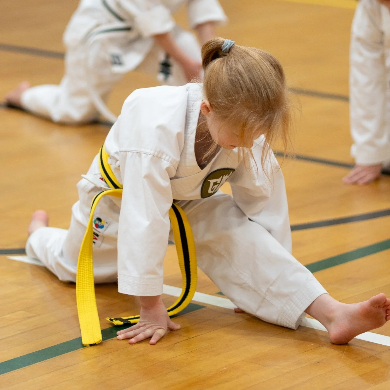 💪🥋 I believe that all kids have the potential to be lifelong athletes.

This philosophy is the cornerstone of how I structure my kids and youth karate programs. At the start of every class, we practice functional fitness drills that build physical 