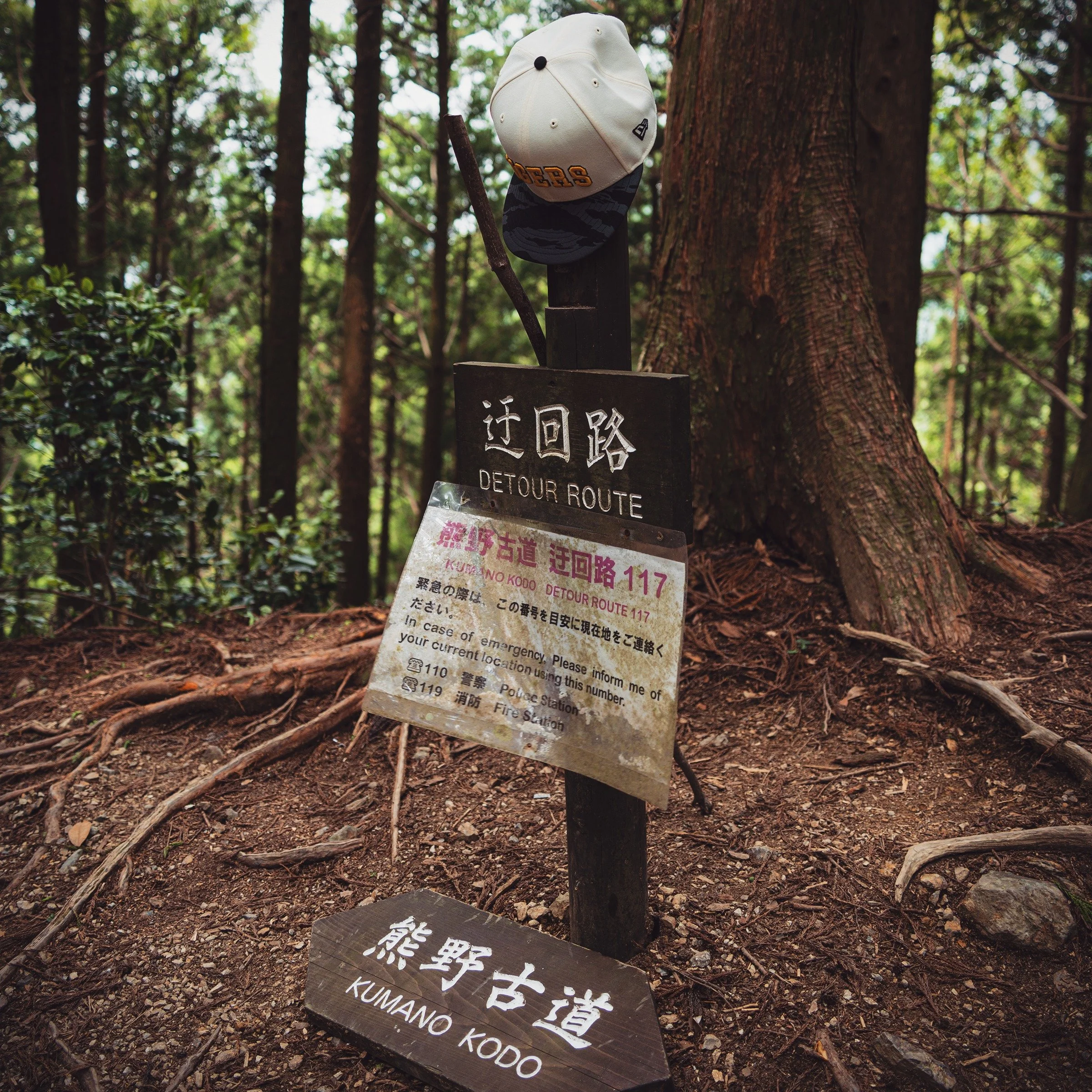 I quit my job to live my dream.

To me, that sentence has always been something someone else did, but was obviously impossible for me. Then about a year ago, I travelled to Japan and walked the Kumano Kodo pilgrimage trail into the mountains in Wakay