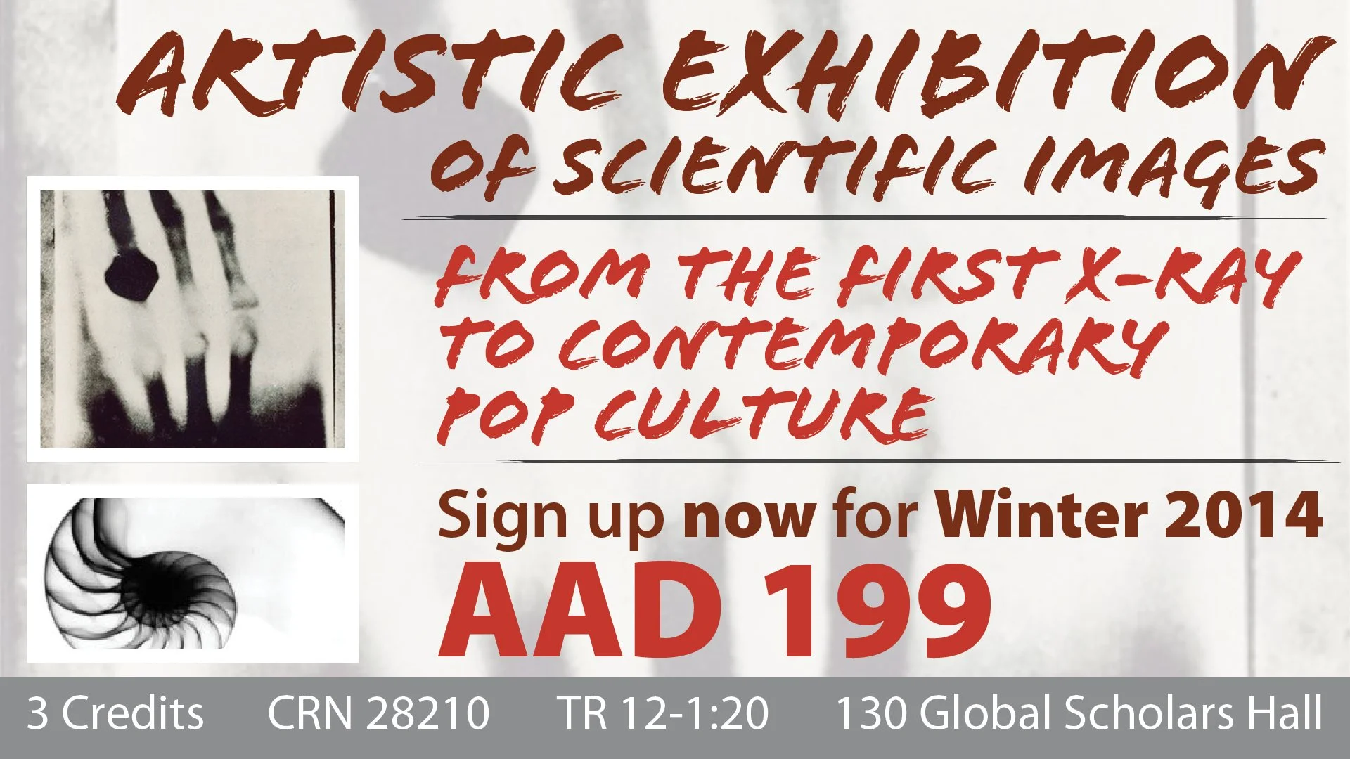 AAD199 Plasma Banner_01.jpg