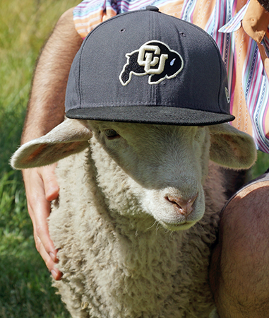 Imperial Stock Ranch_Go Buffs.png