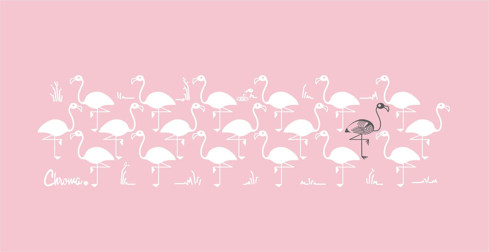 Flamingo-01.jpg