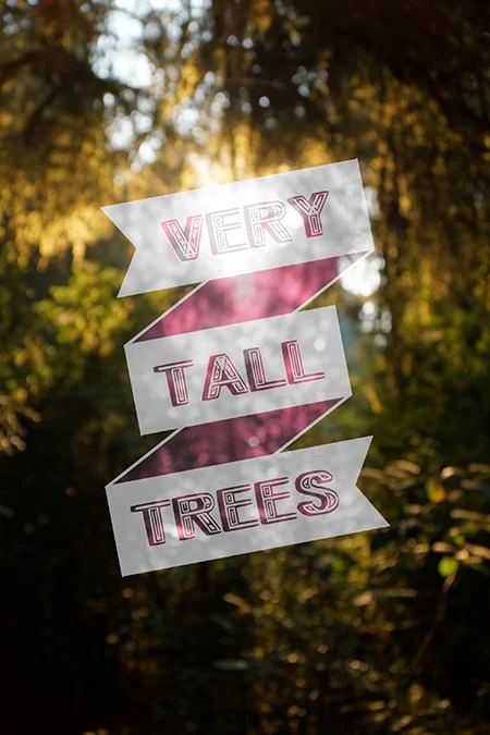 vERY tALL tREES_COVER.JPG