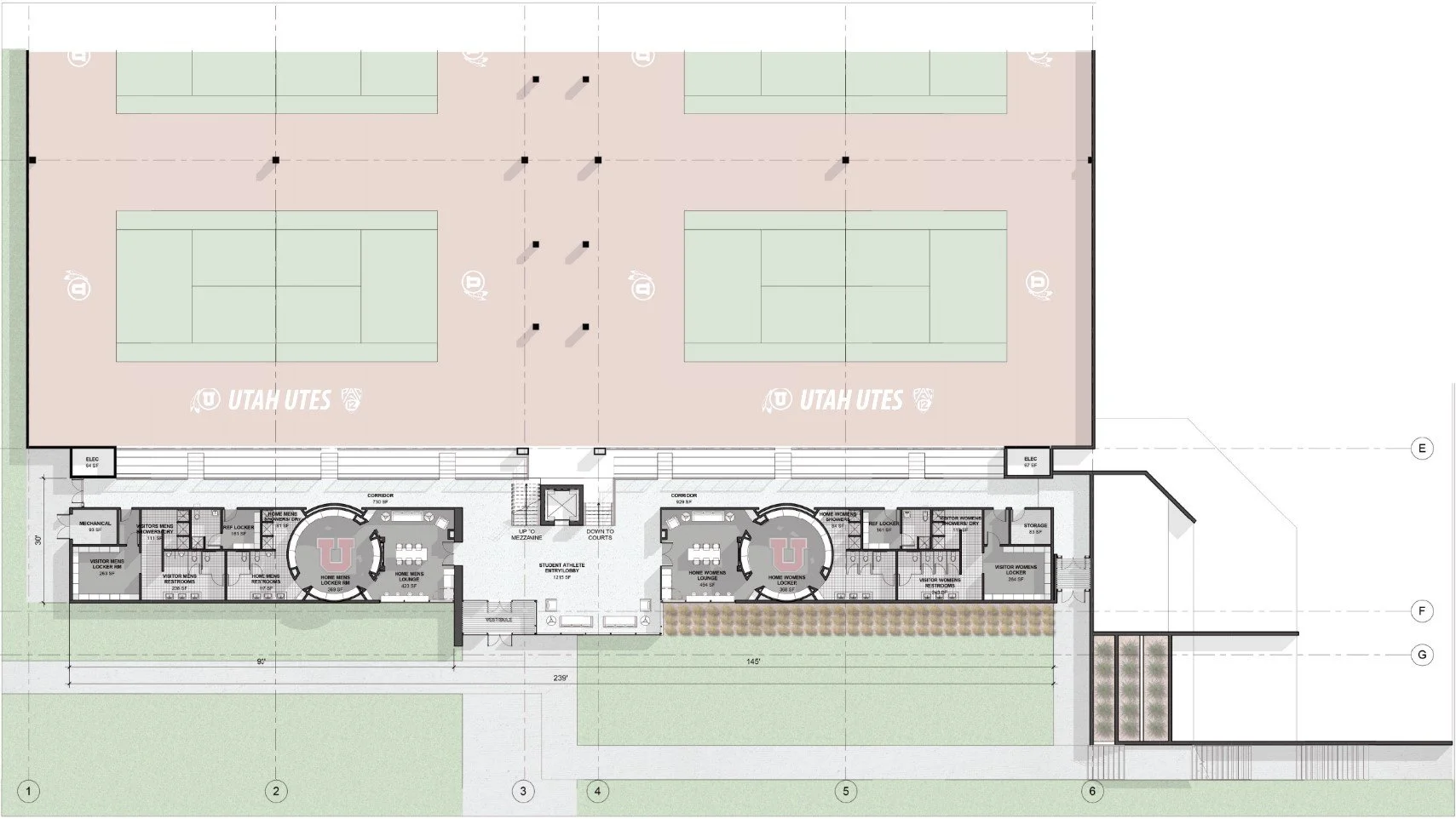 UU Tennis - Floor Plan.jpg