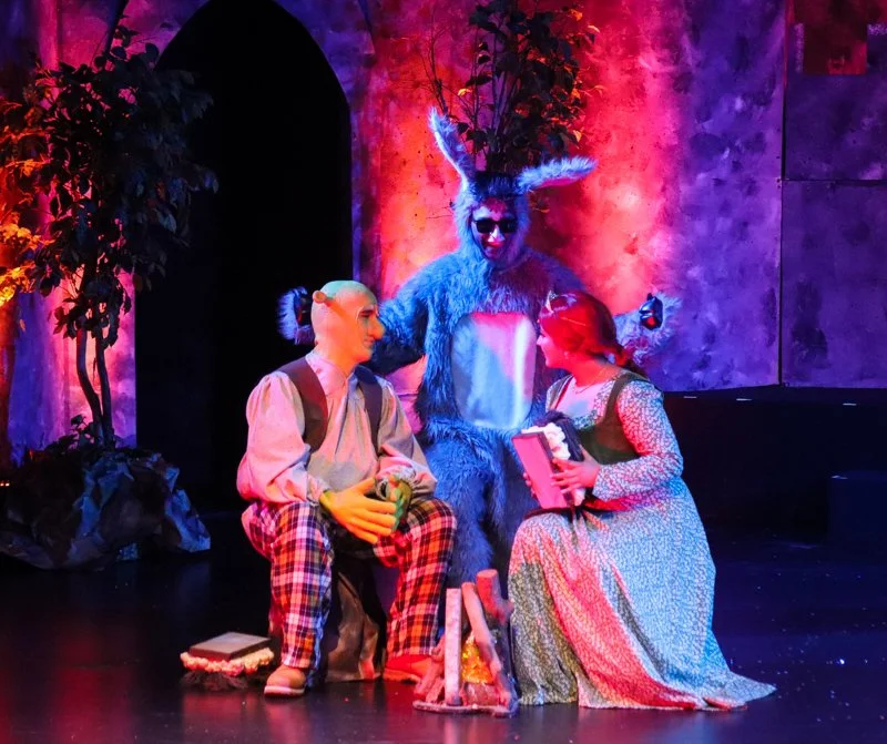 theater-shrek-IMG_5127-edit.jpg
