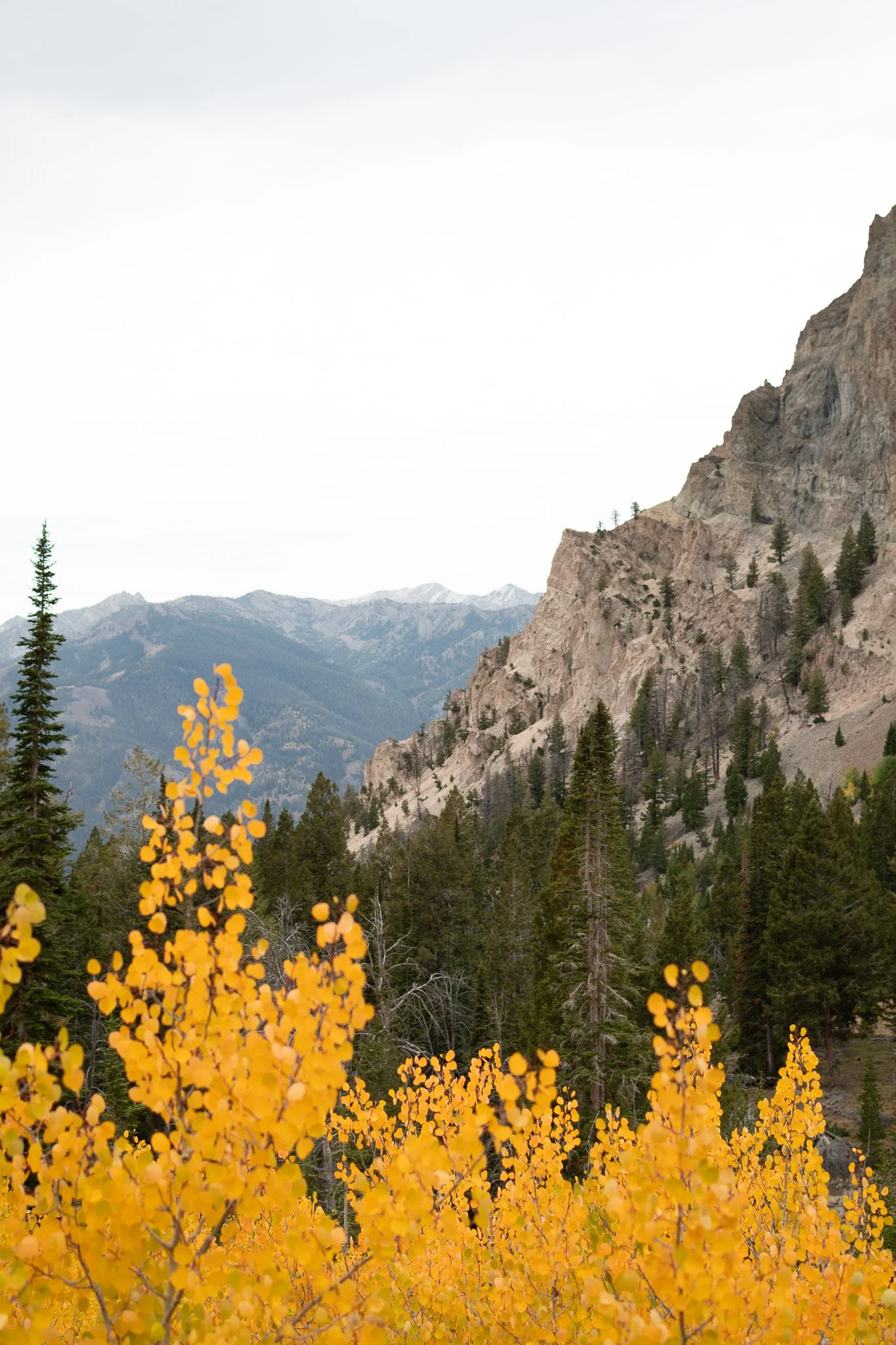 laidback-and-authentic-wedding-in-the-idaho-sawtooths
