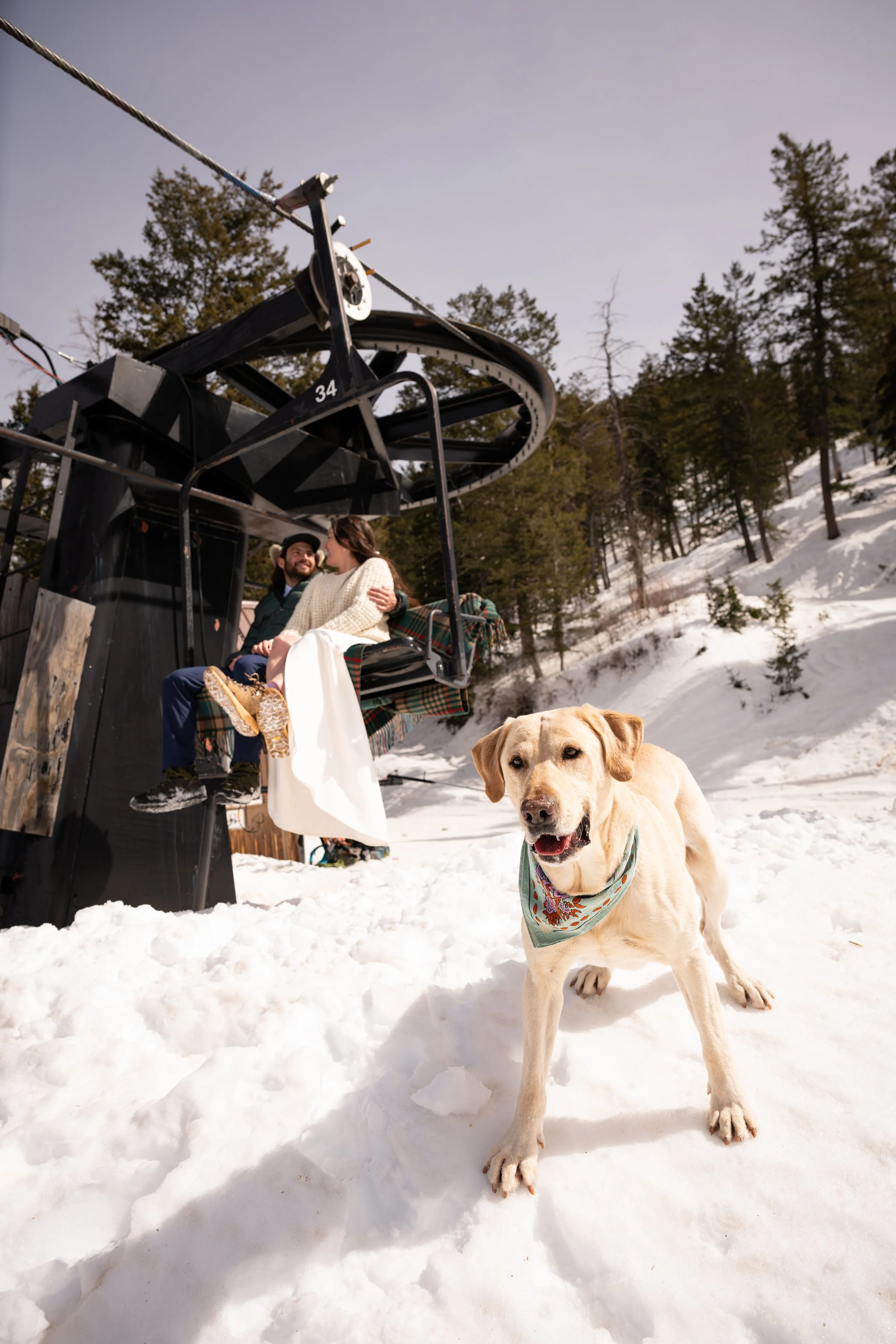 Ski winter adventure elopement