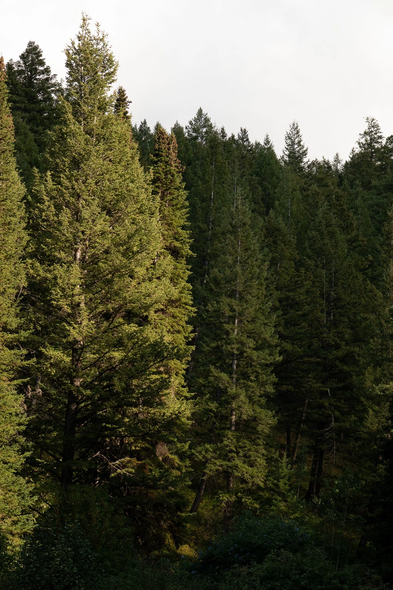 best-venue-southeastern-idaho-camp-taylor