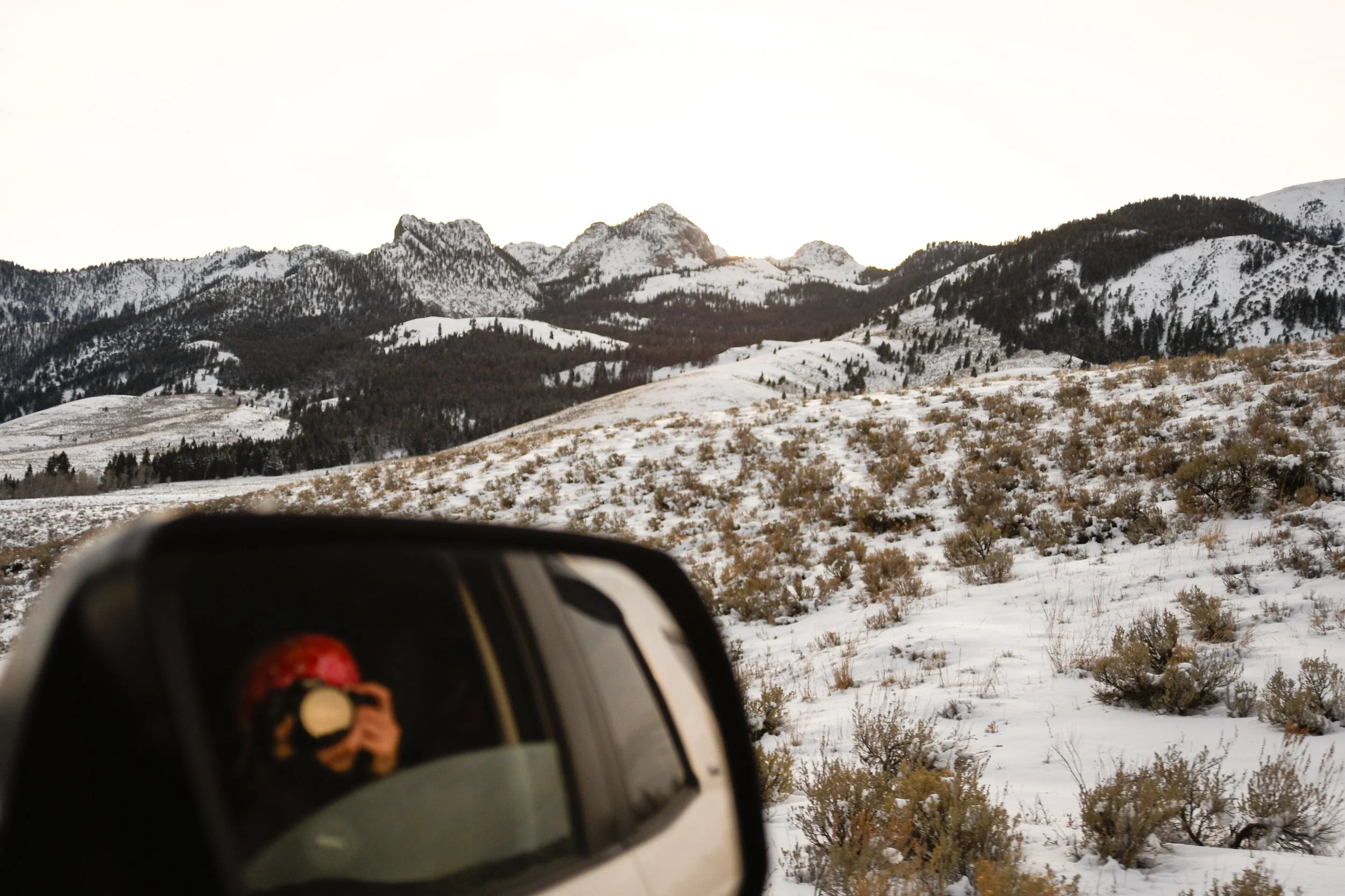 idaho-family-photos-christmas-tree-hunting