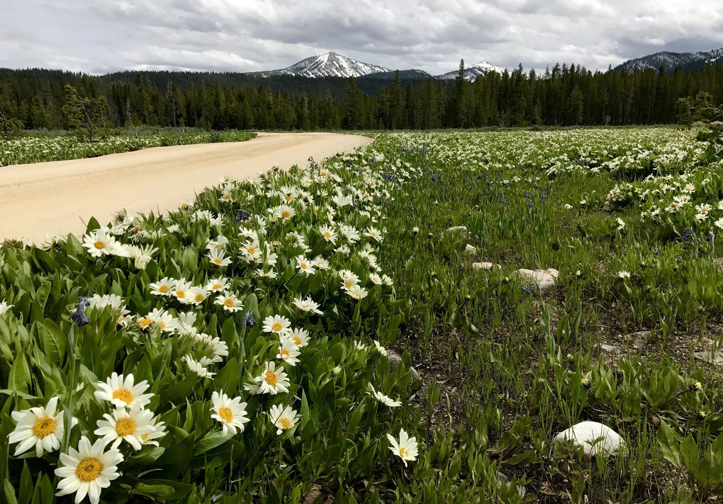 laidback-and-authentic-wedding-in-the-idaho-sawtooths
