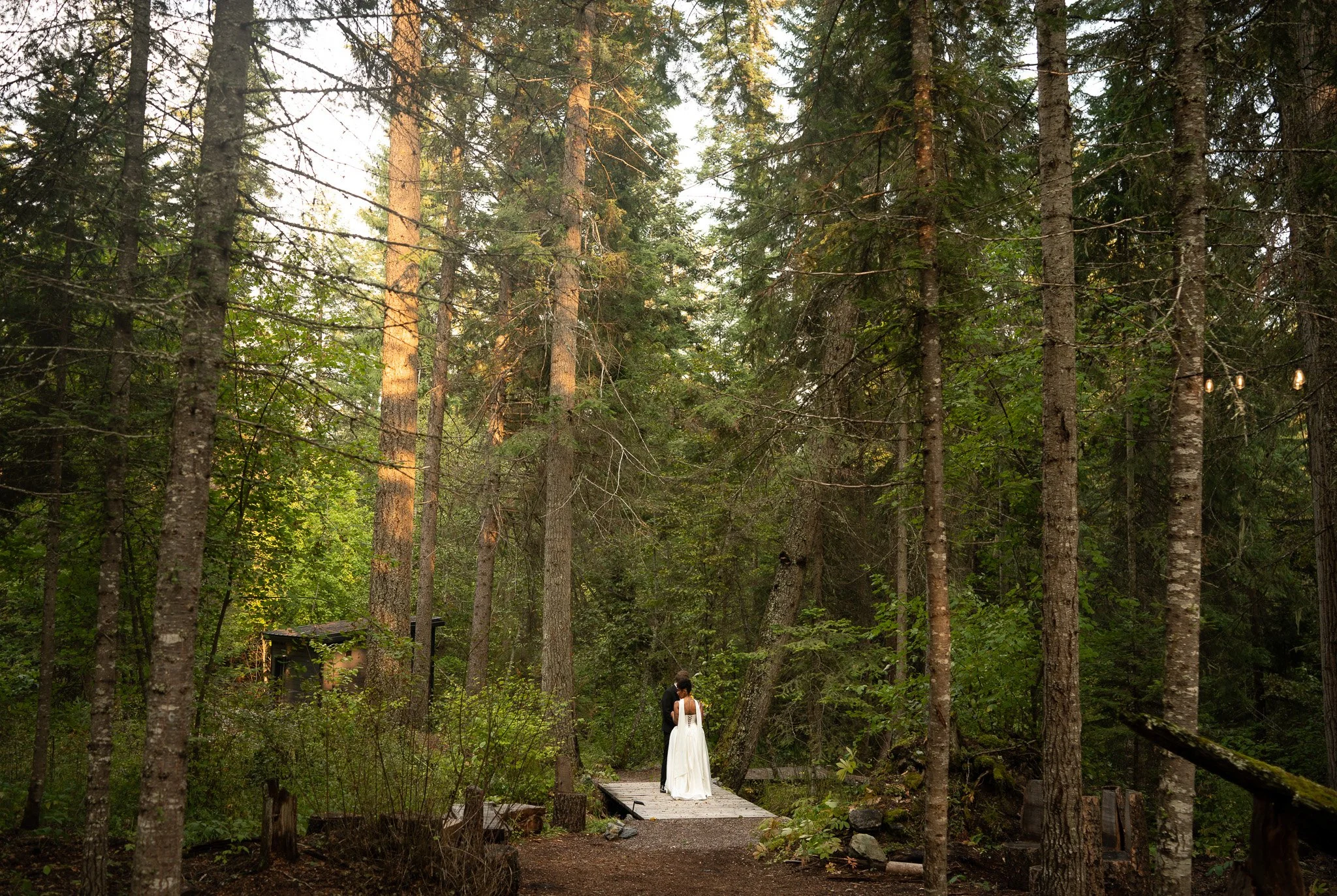 bride and groom standing in the trees