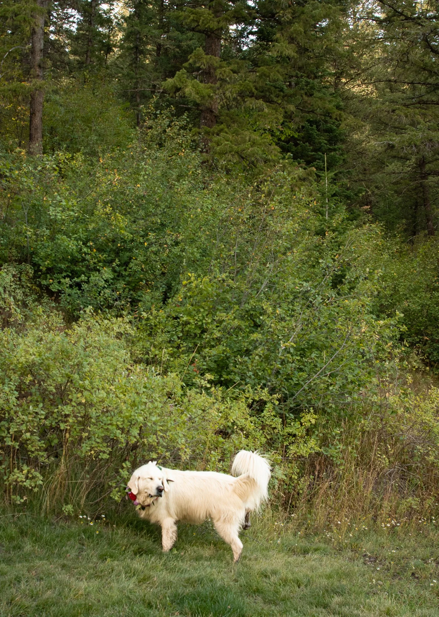 best-venue-southeastern-idaho-camp-taylor