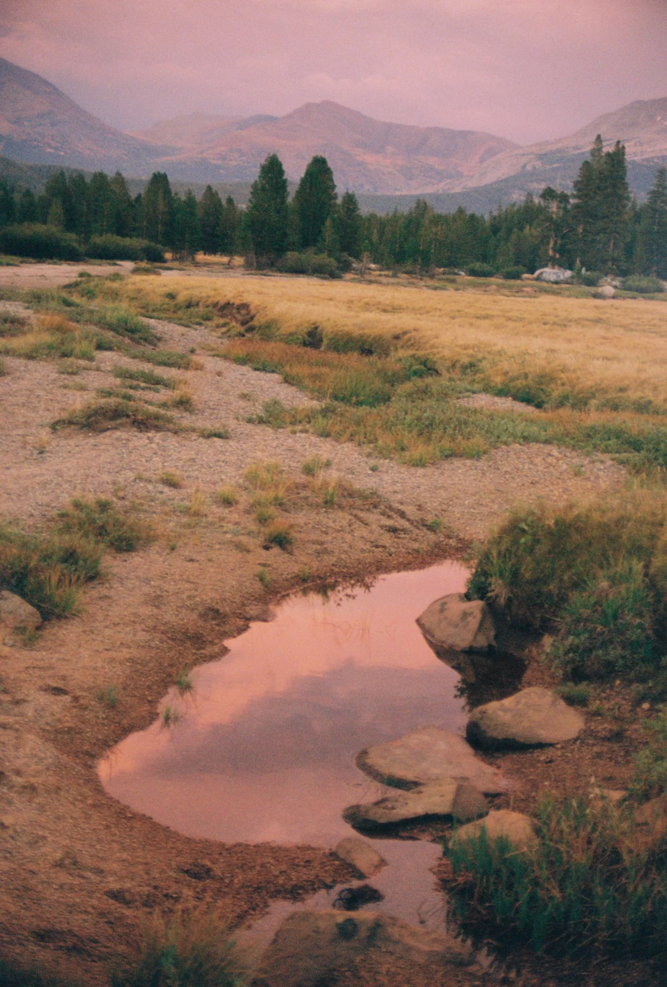 Outdoor Voices-Film-45.jpg