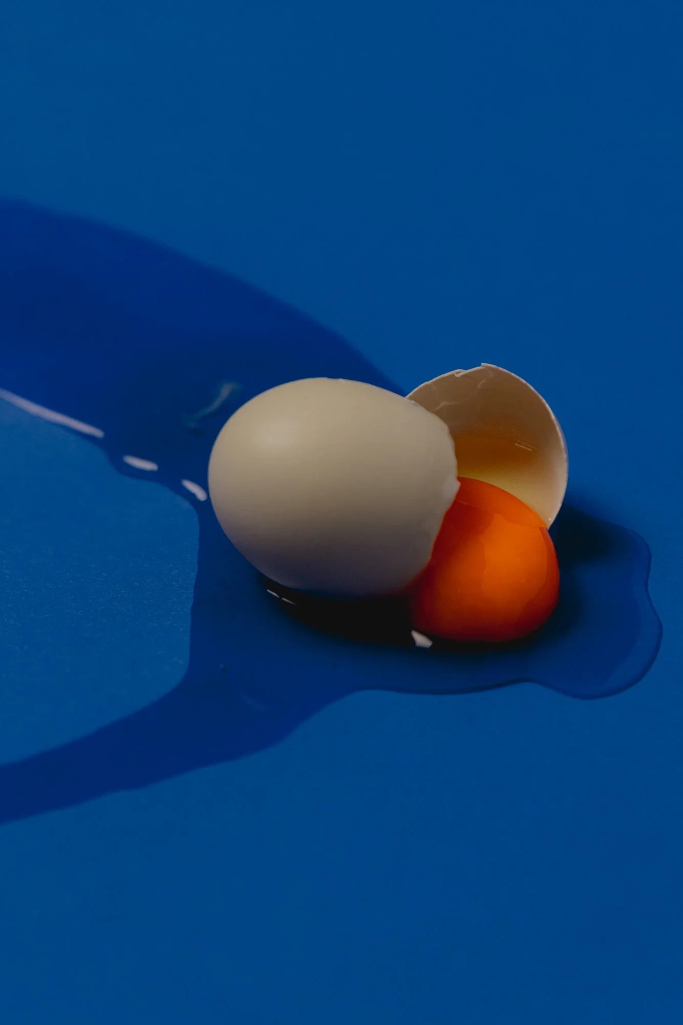 Composition-30.jpg