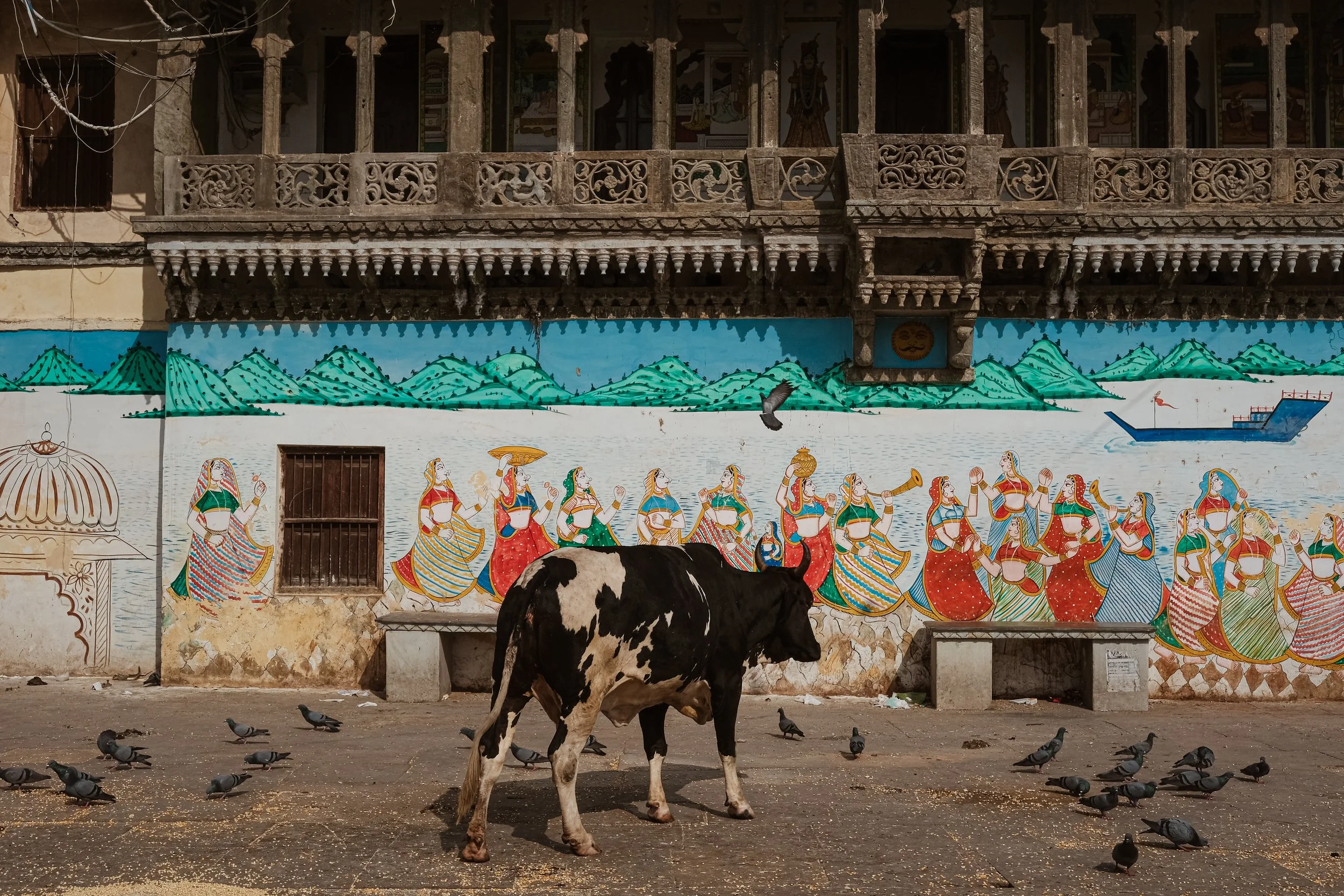 Rajastan-111.jpg