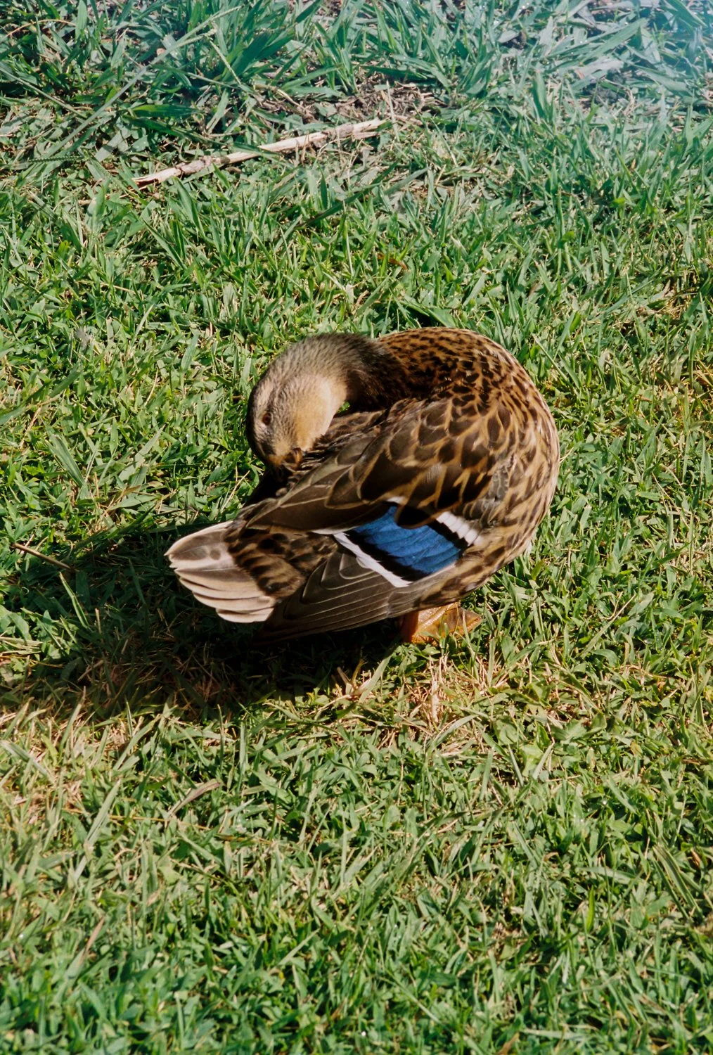 portugal-film-33.jpg