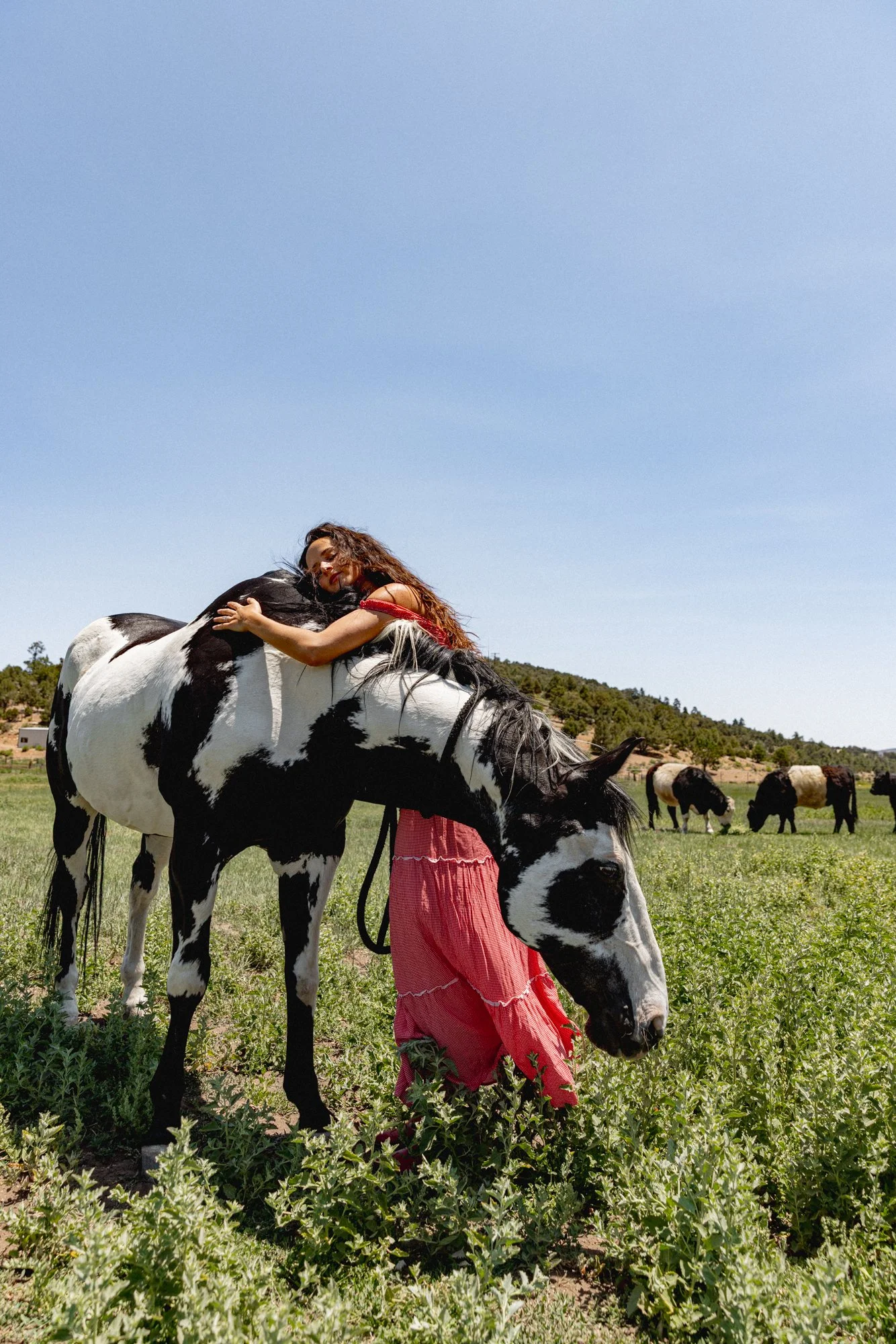 Ranch-126.jpg
