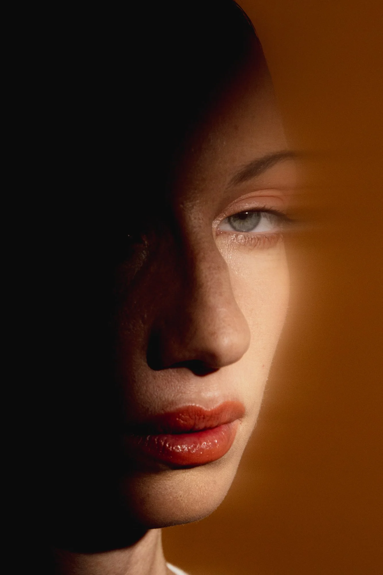 Lightfield-35.jpg