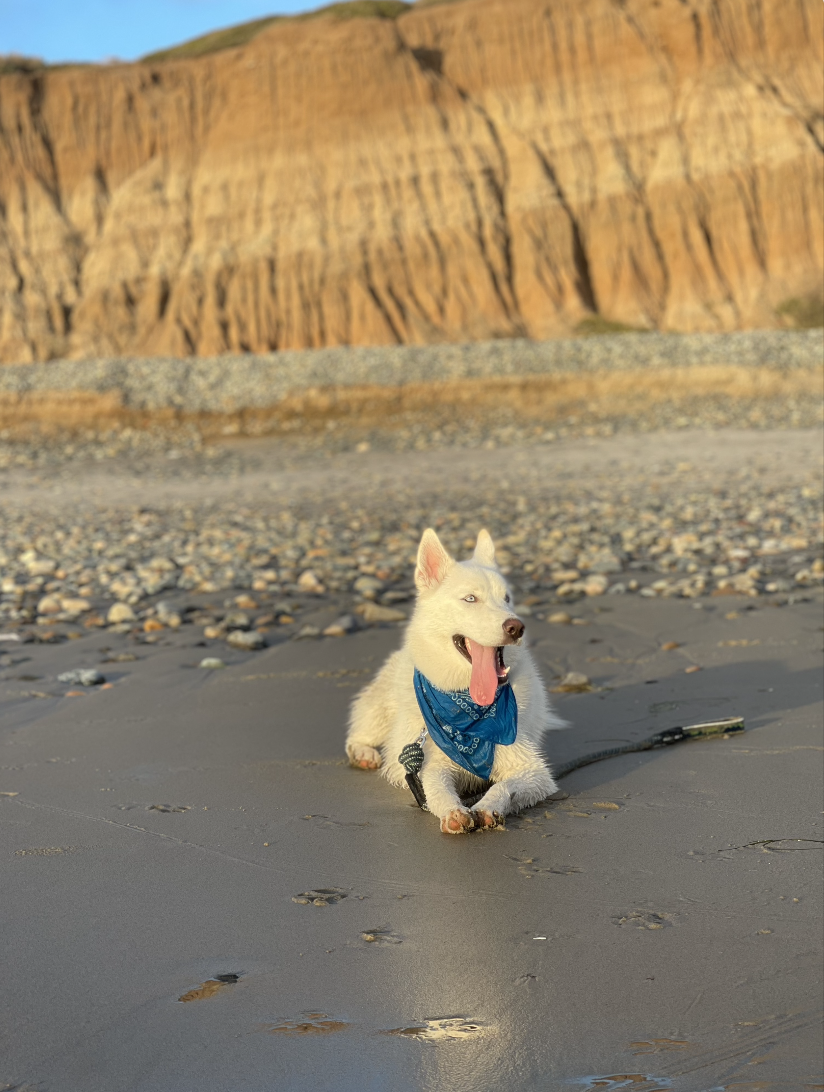 Screenshot 2025-10-05 at 9.47.51 AM.png