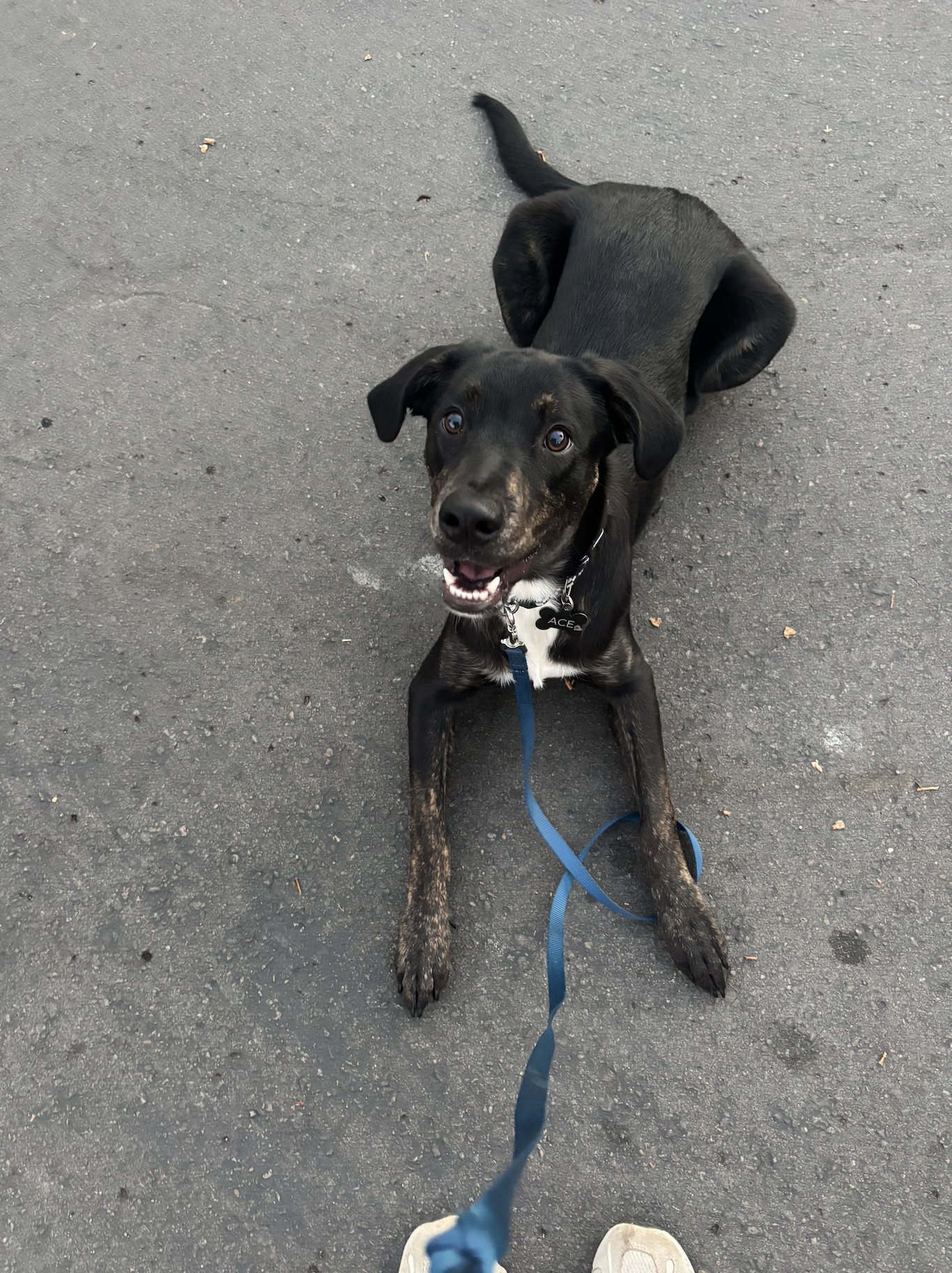 Screenshot 2025-10-05 at 9.26.55 AM.png