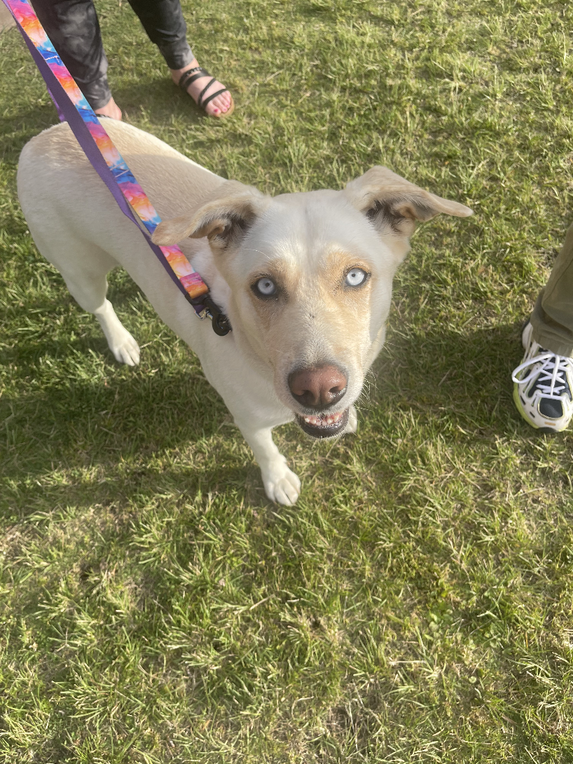 Screenshot 2025-10-05 at 9.55.51 AM.png