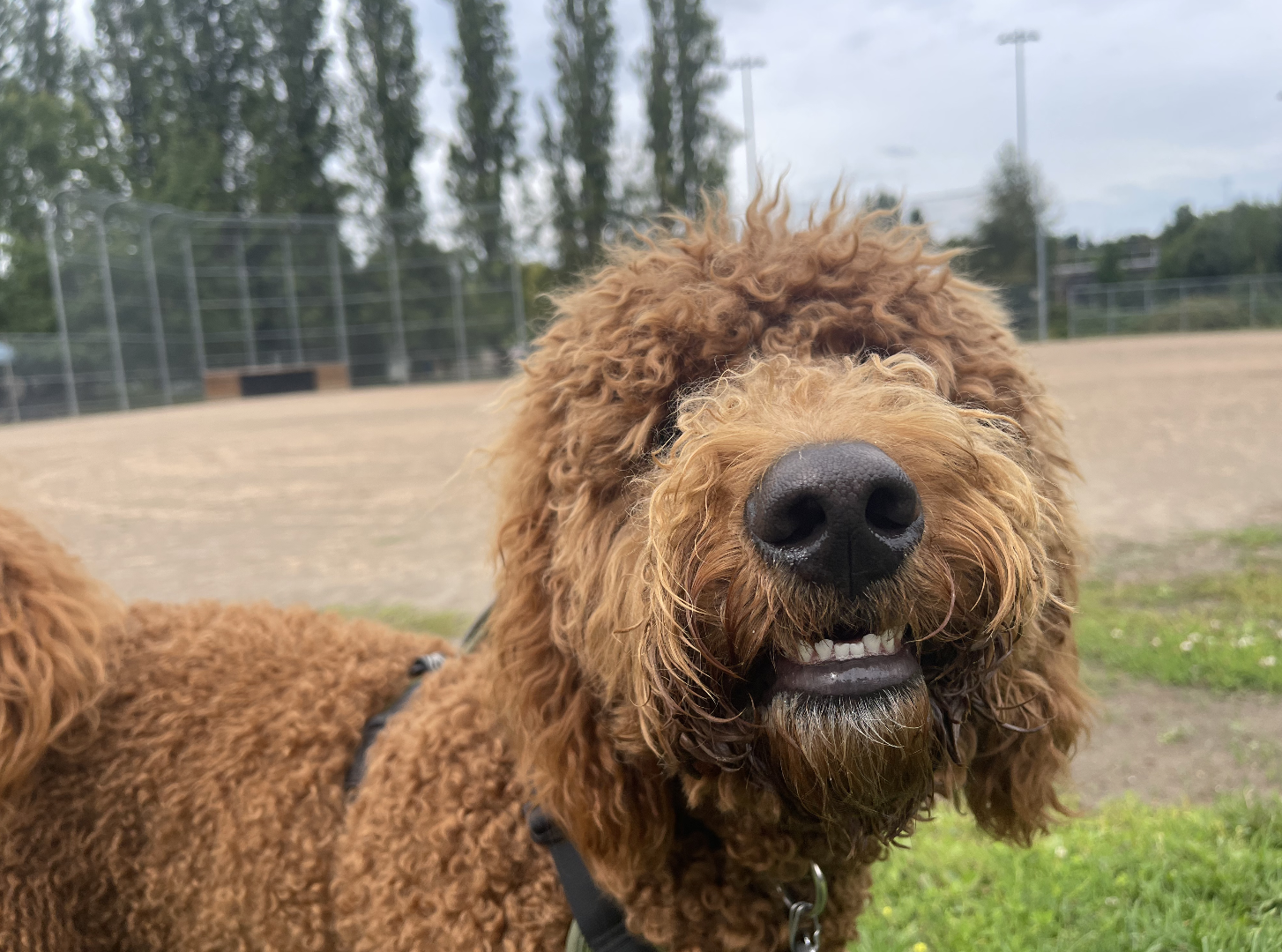 Screenshot 2025-10-05 at 10.07.41 AM.png