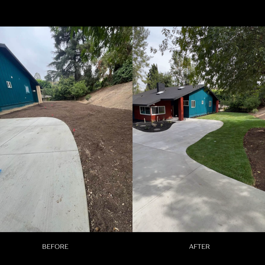 Green Gentle Before and After Instagram Post.png