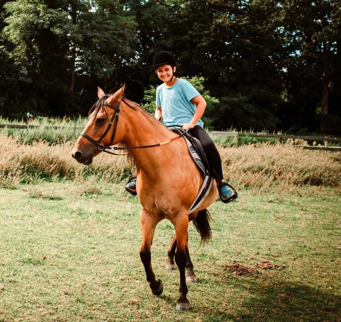 Recreational Horseback Riding