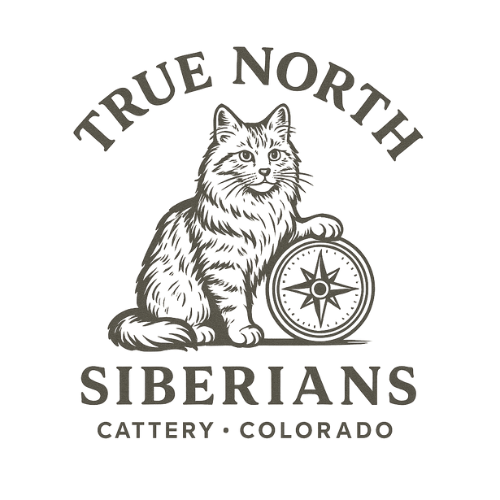 True North Siberians