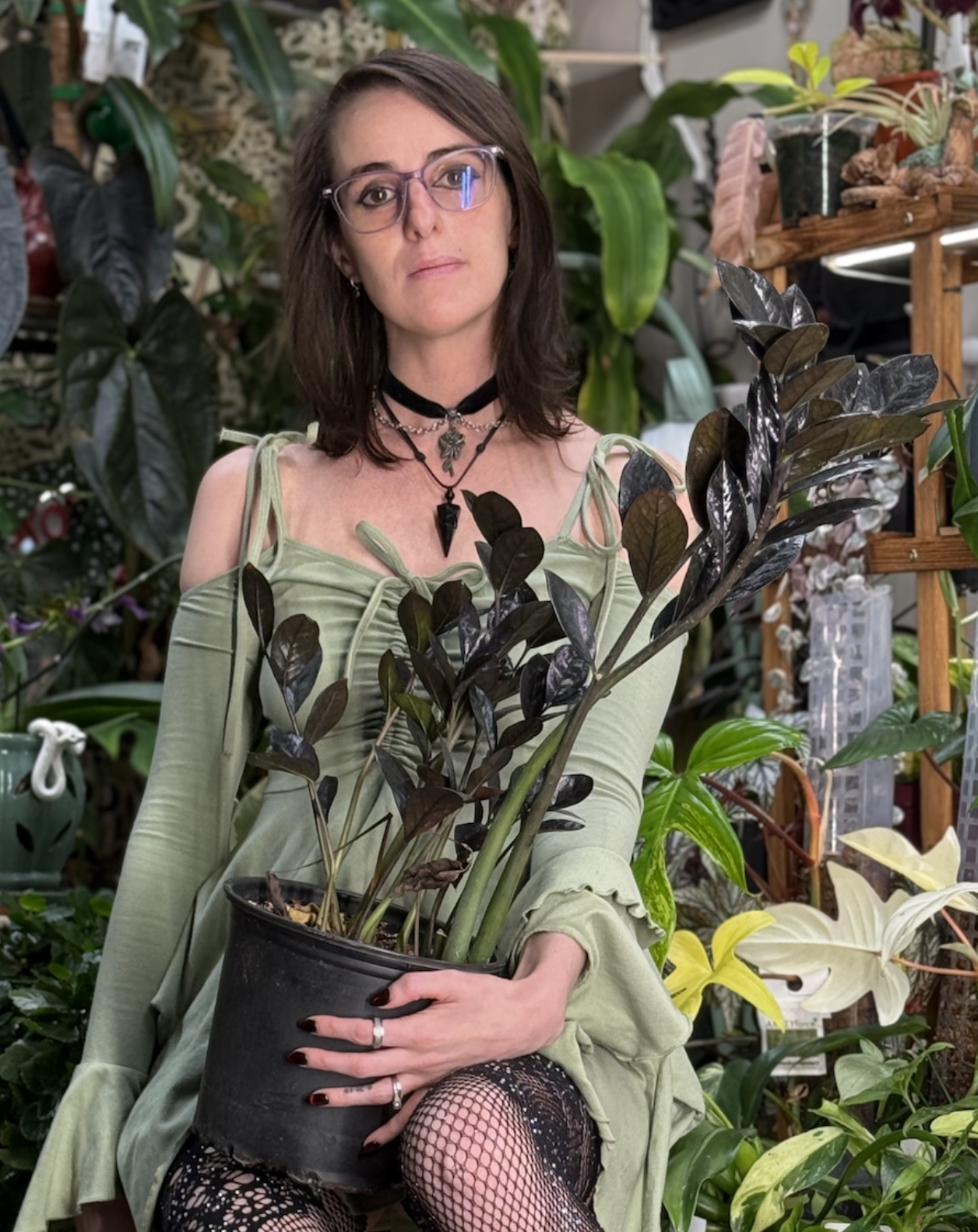 In the Garden After Dusk with @briannas_planttok by The Lace Ledger