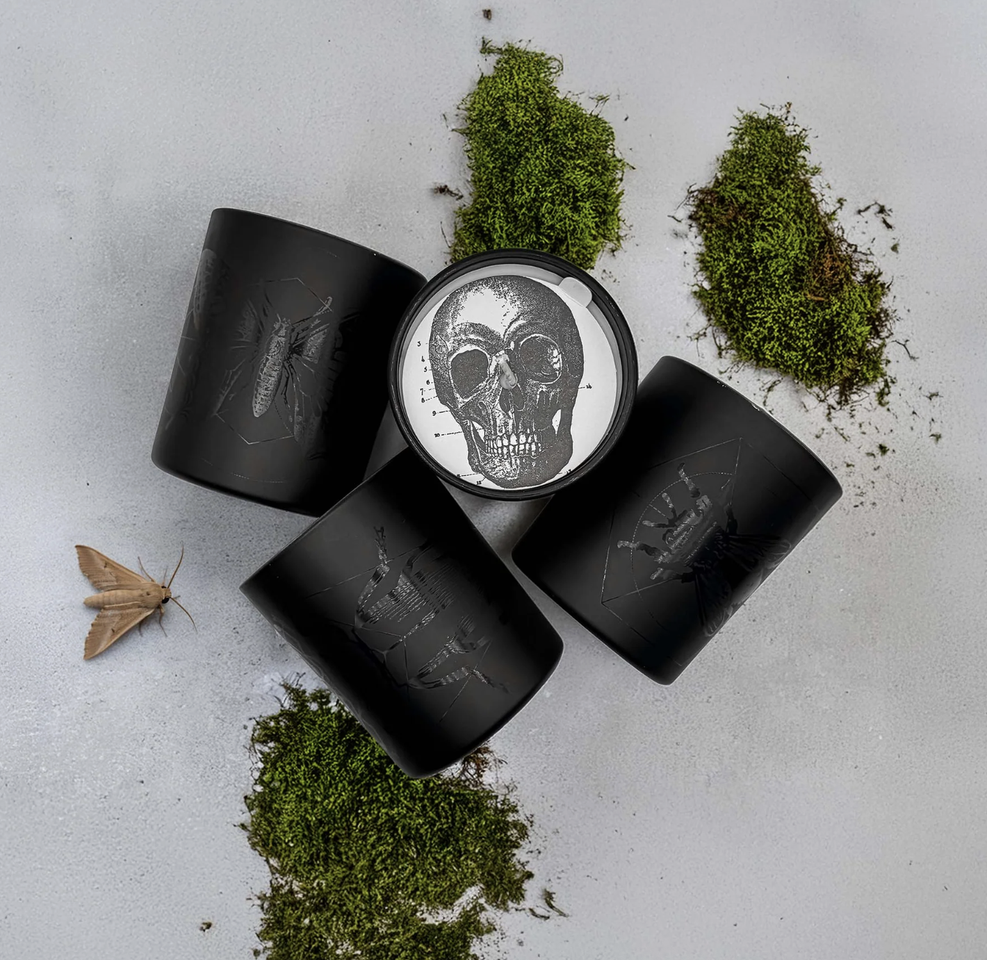 La Nuit, Insecta Noir Black Jar Candle 11oz