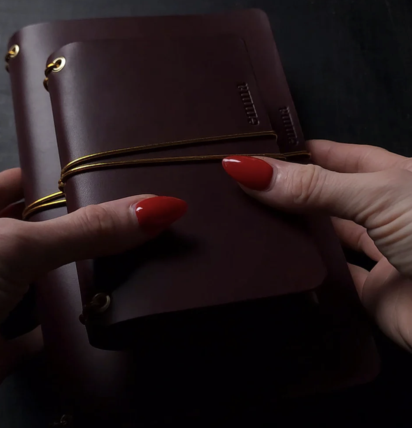 Forest Nine Oxblood Trifold Journal