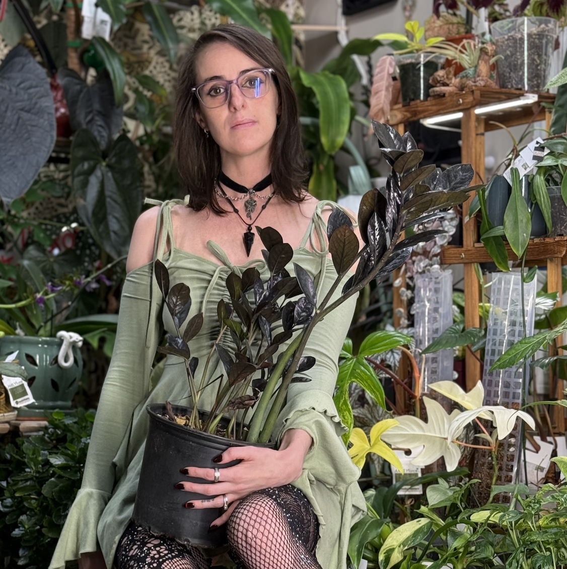 In the Garden After Dusk with @briannas_planttok