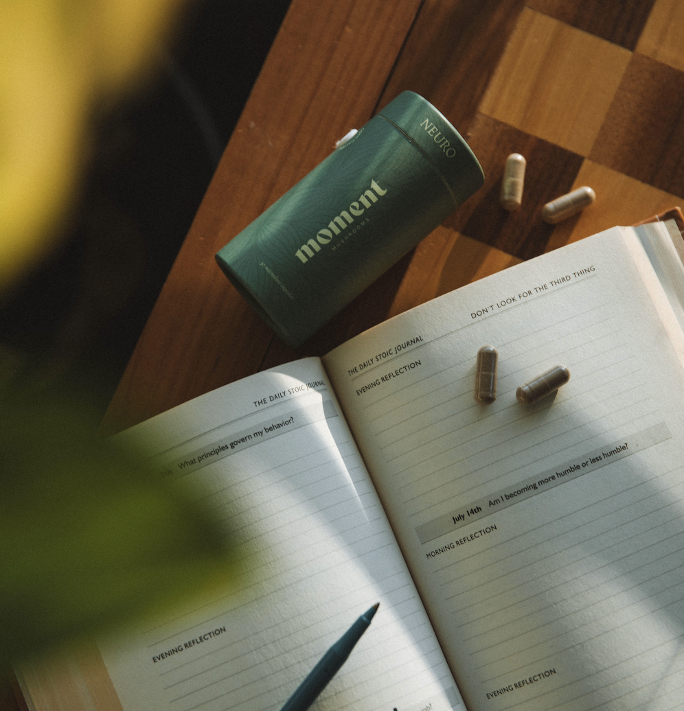 Quieting the Static: Two Months with Moment Mushrooms Psilocybin Microdoses