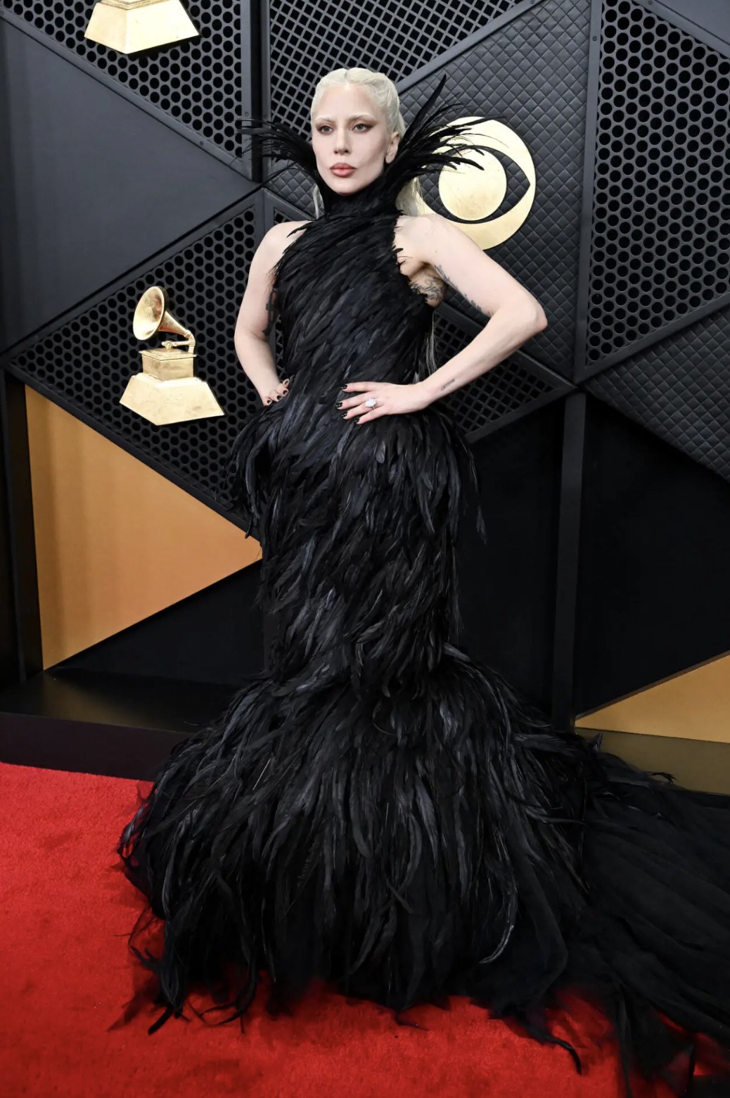 Lady Gaga, The Grammy's, Matières Fécales