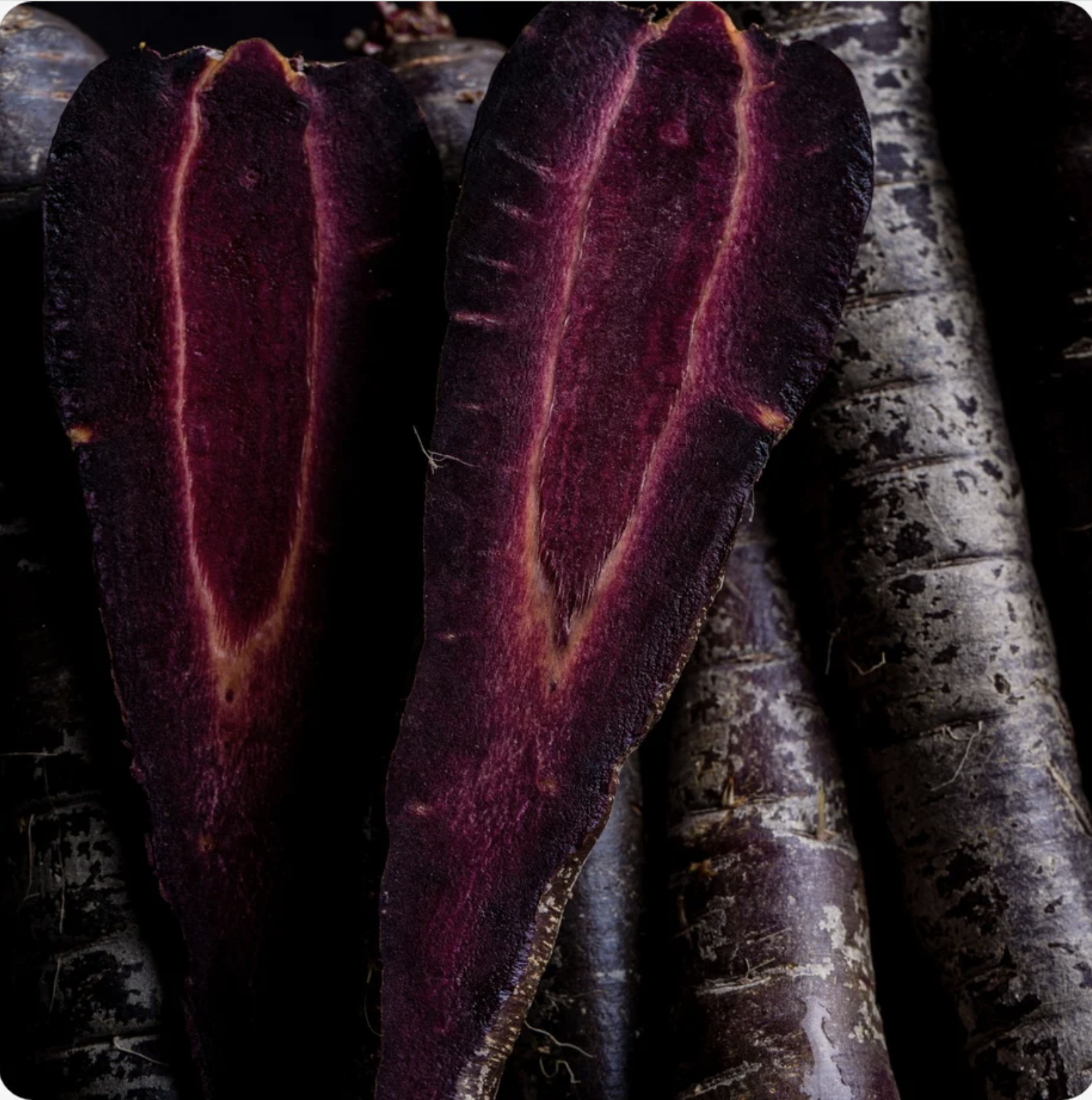 The Gothic Harvest: A Dark Harvest Guide for Your Garden (&amp; Table)