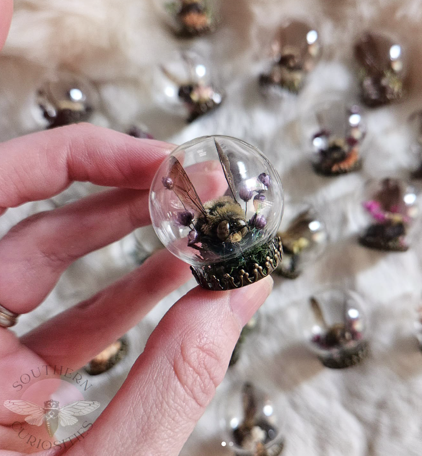Afterlife: 15 Natural History Artists to Know