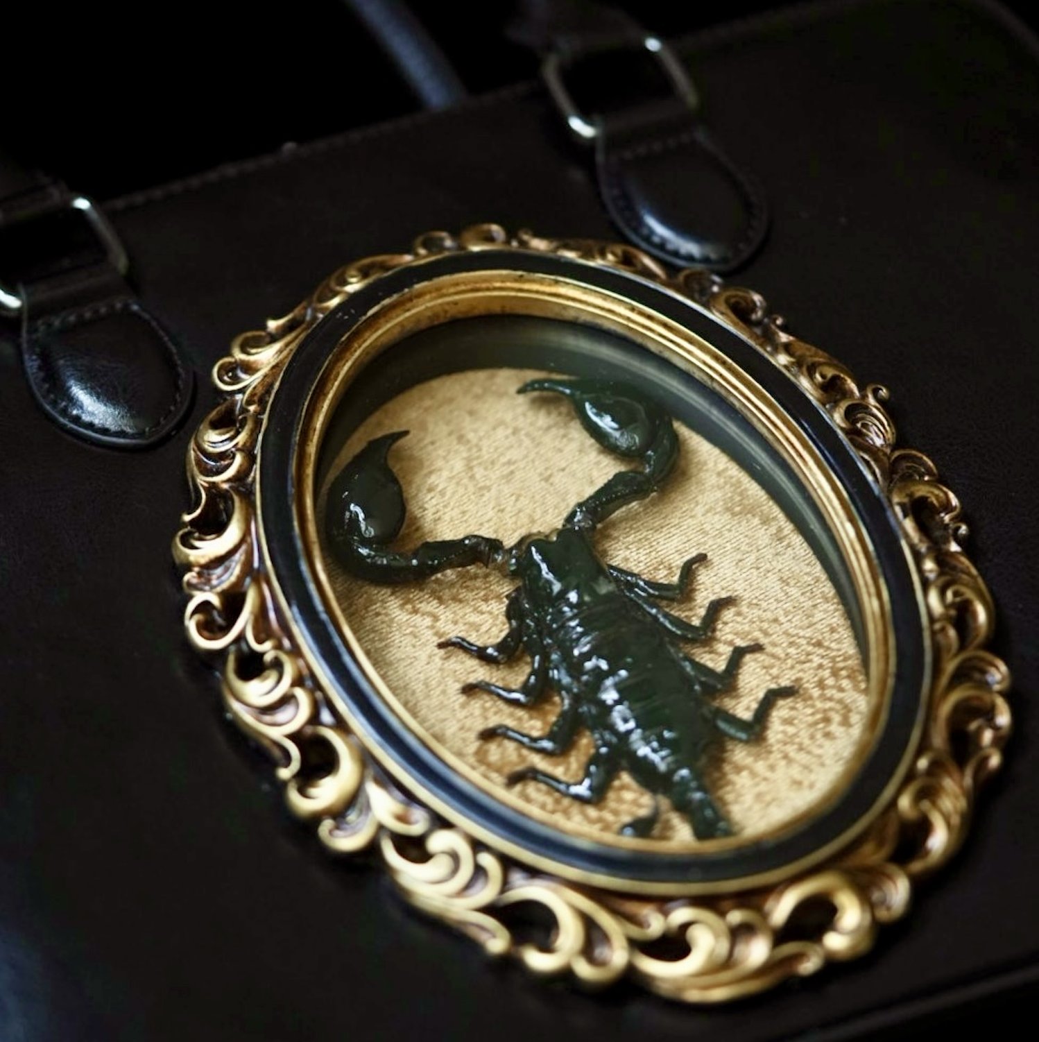 Natural Curiosity: Inside Esoterica's World of Specimens &amp; Storytelling