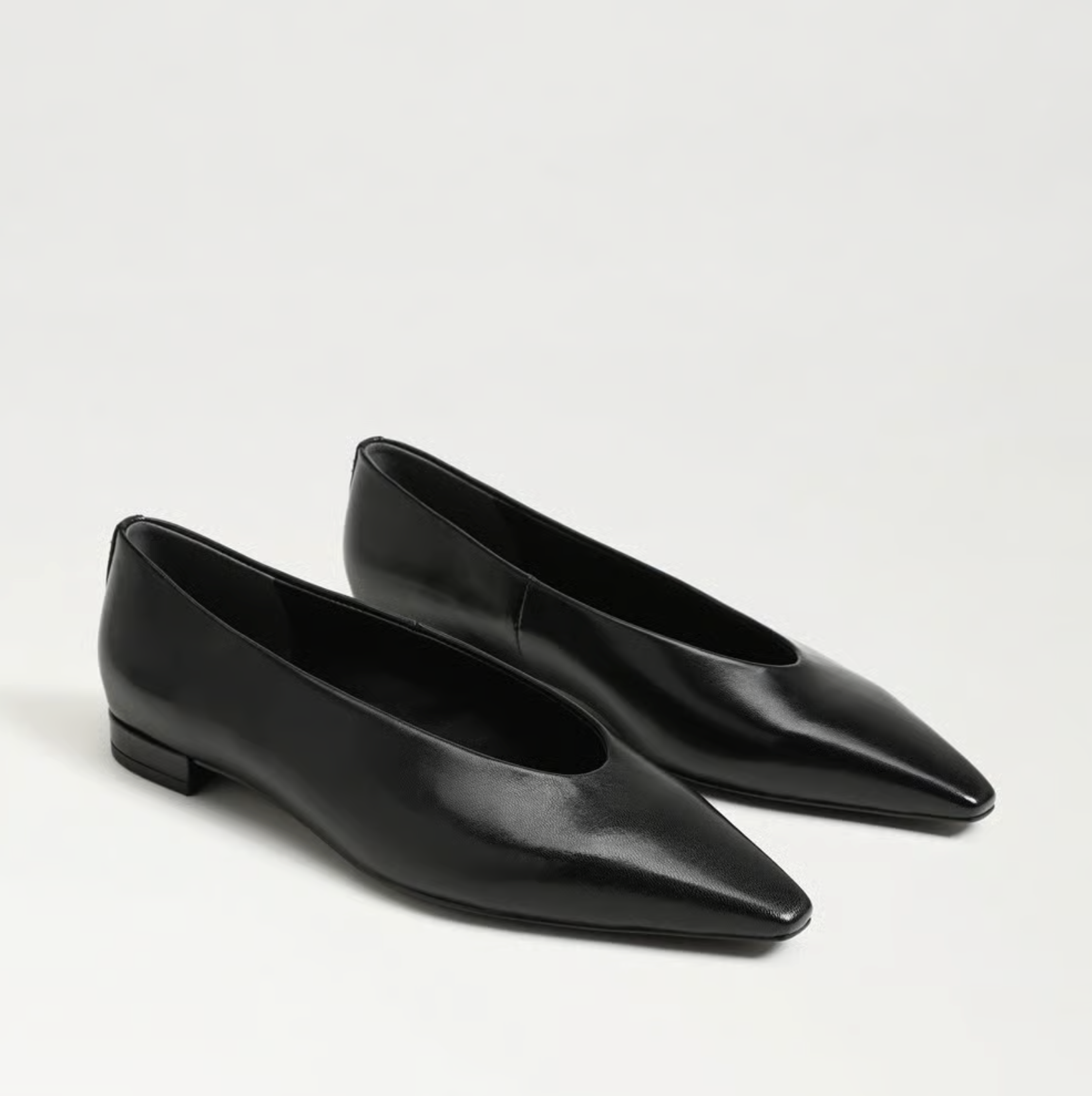 Sam Edelman Emory Pointed Toe Ballet Flat