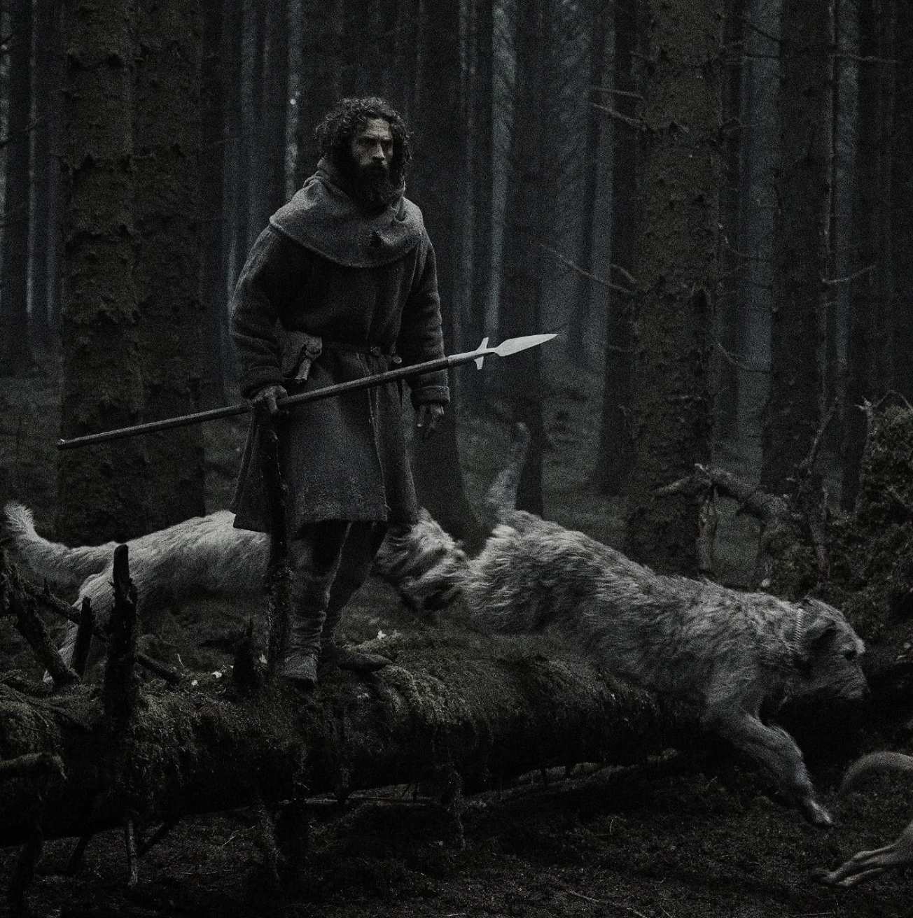 Now S(cr)eaming: New Gothic Film + Series Releases for Fall