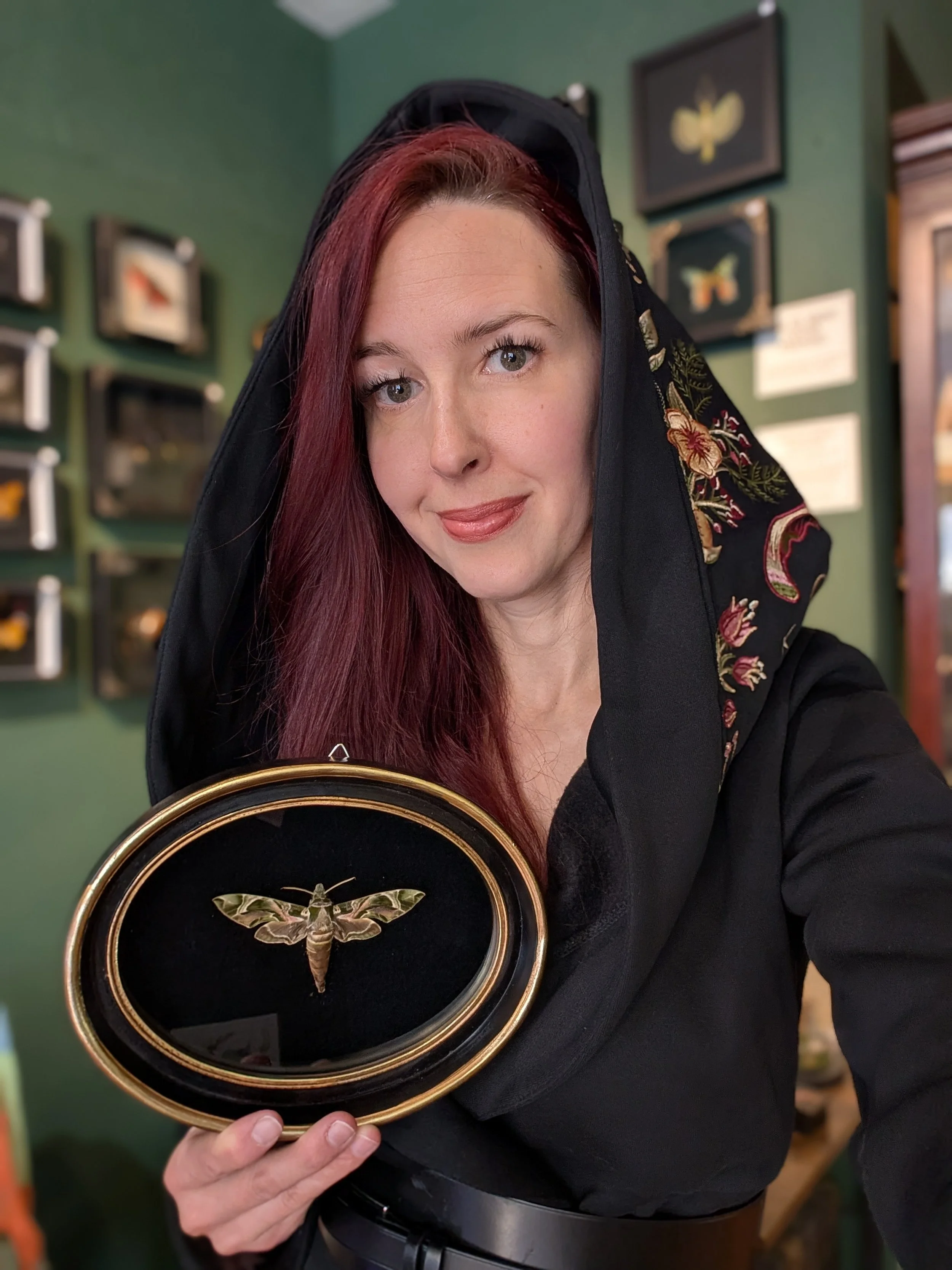 Natural Curiosity: Inside Esoterica's World of Specimens & Storytelling