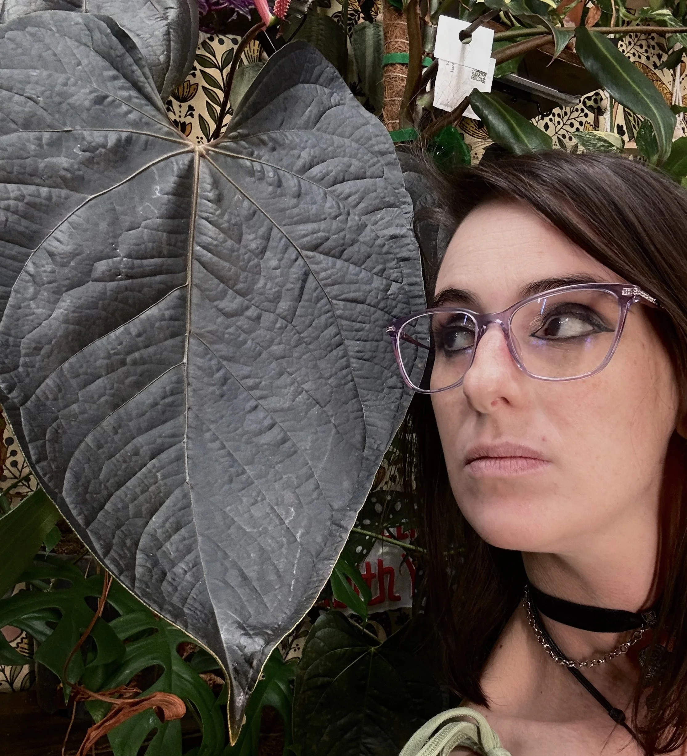 In the Garden After Dusk with @briannas_planttok by The Lace Ledger