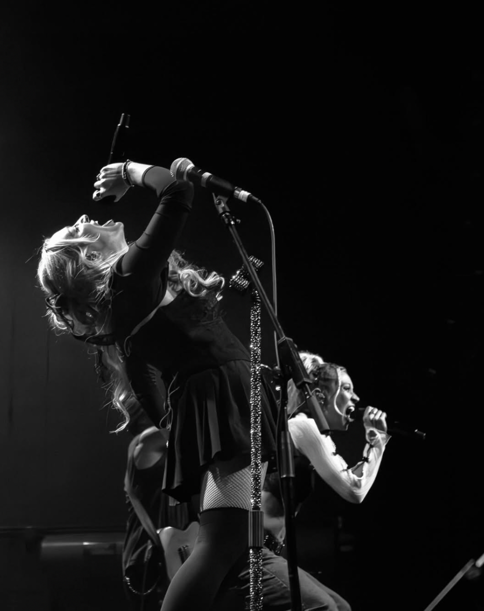 Heretics and Headliners: The Women Who Rewired Rock by The Lace Ledger