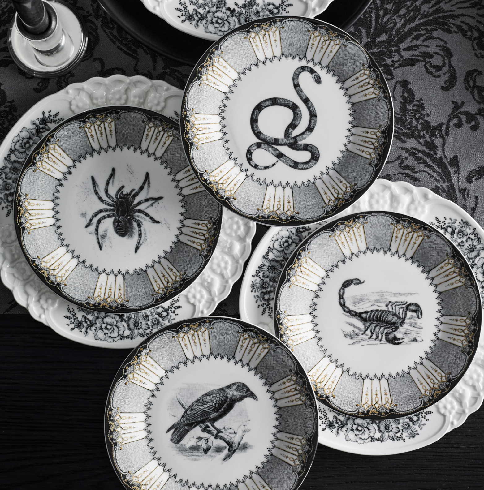 The Haunted Hearth: Gothic Kitchen Essentials