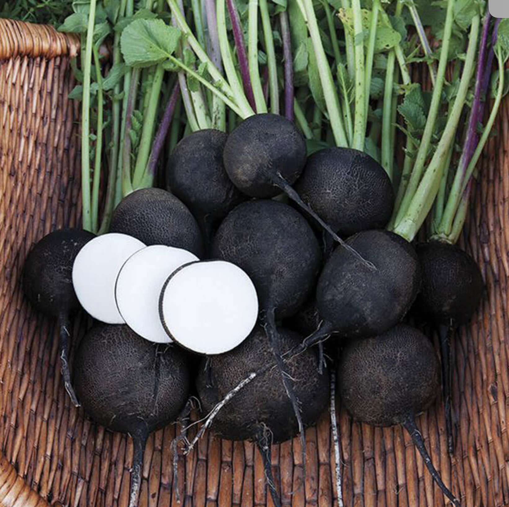 The Gothic Harvest: A Dark Harvest Guide for Your Garden (& Table) by the Lace Ledger