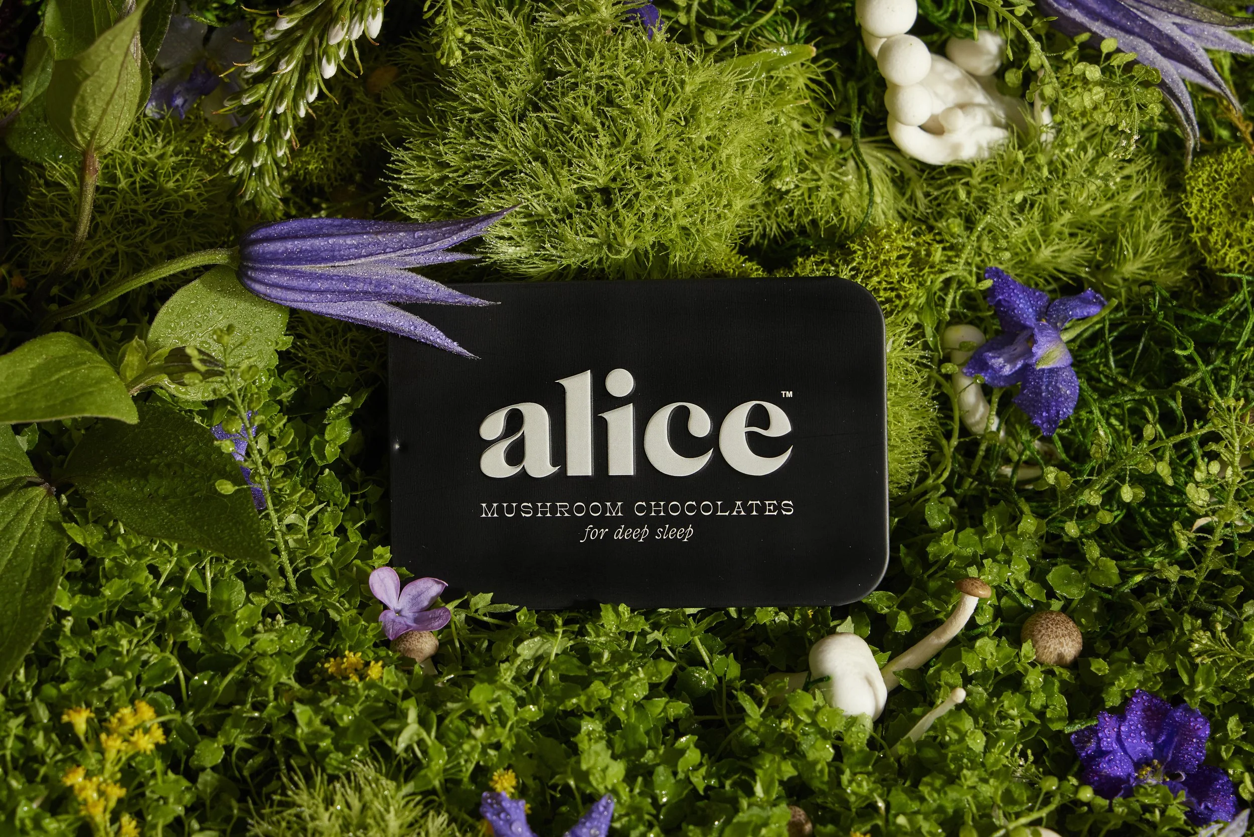 World Sleep Day With Alice Mushrooms: A Month Inside Nightcap by The Lace Ledger